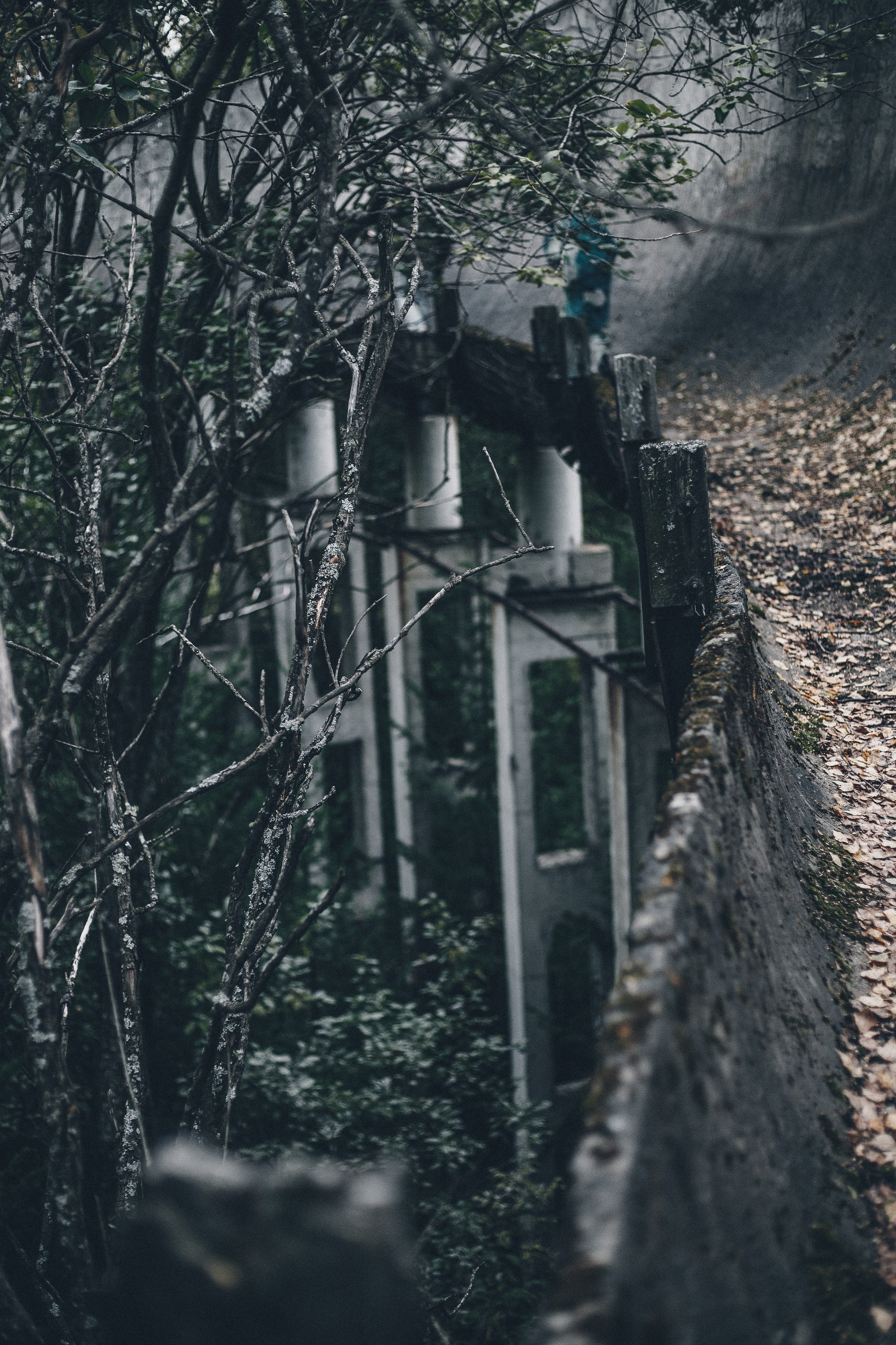Фотопроект - Старая кукла. Семейный и женский фотограф Кемерово Мария Степ
