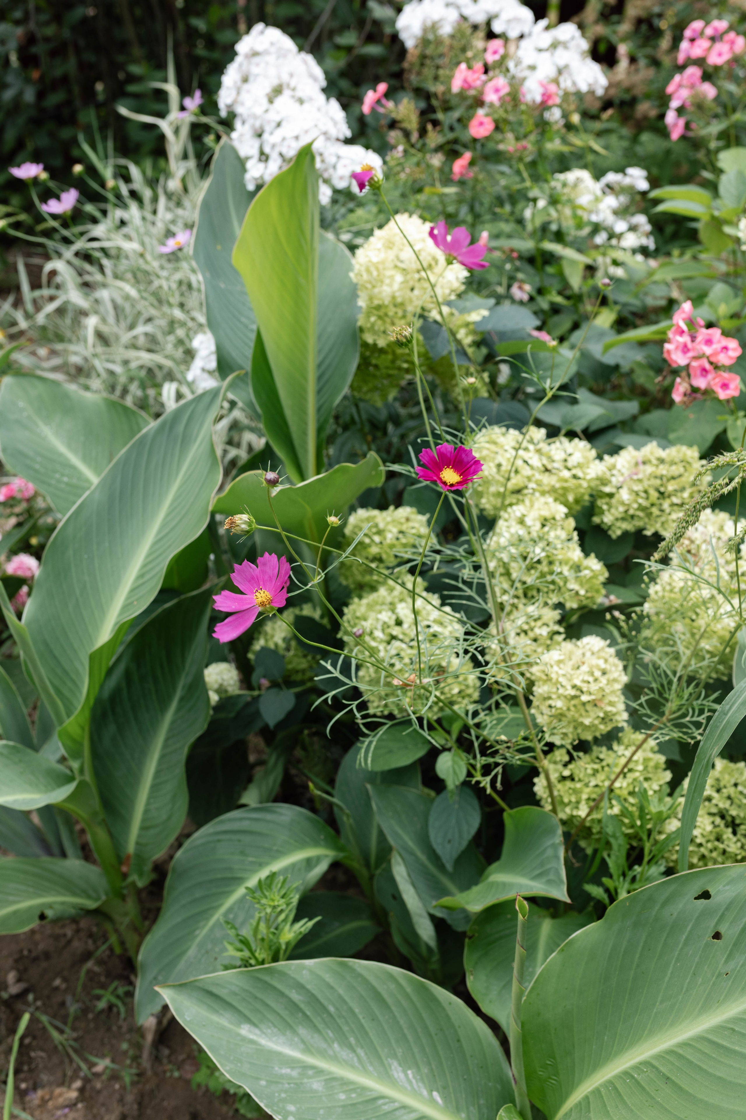 Марат & Анна