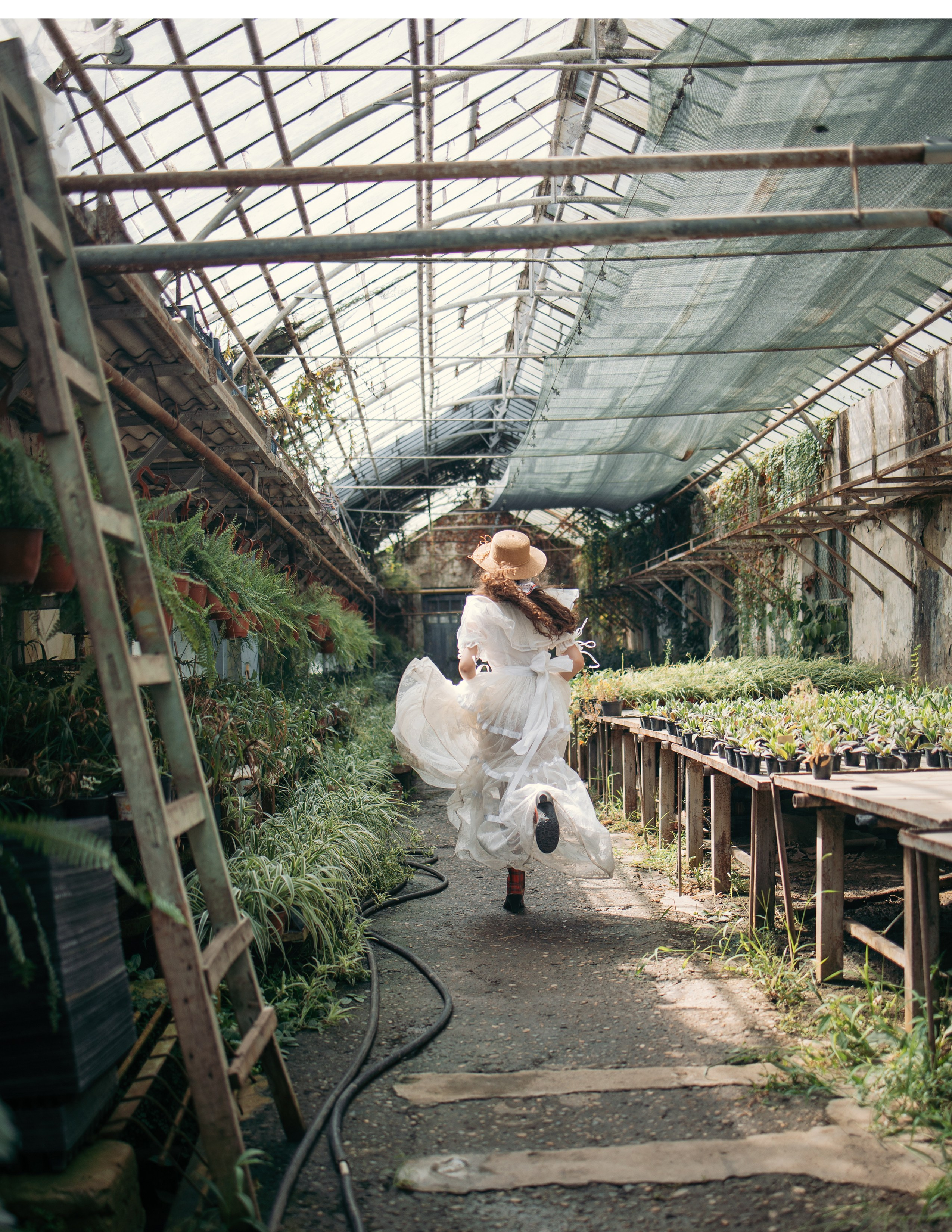 Теплица мацеста. Фотограф Сочи Татьяна Зорина