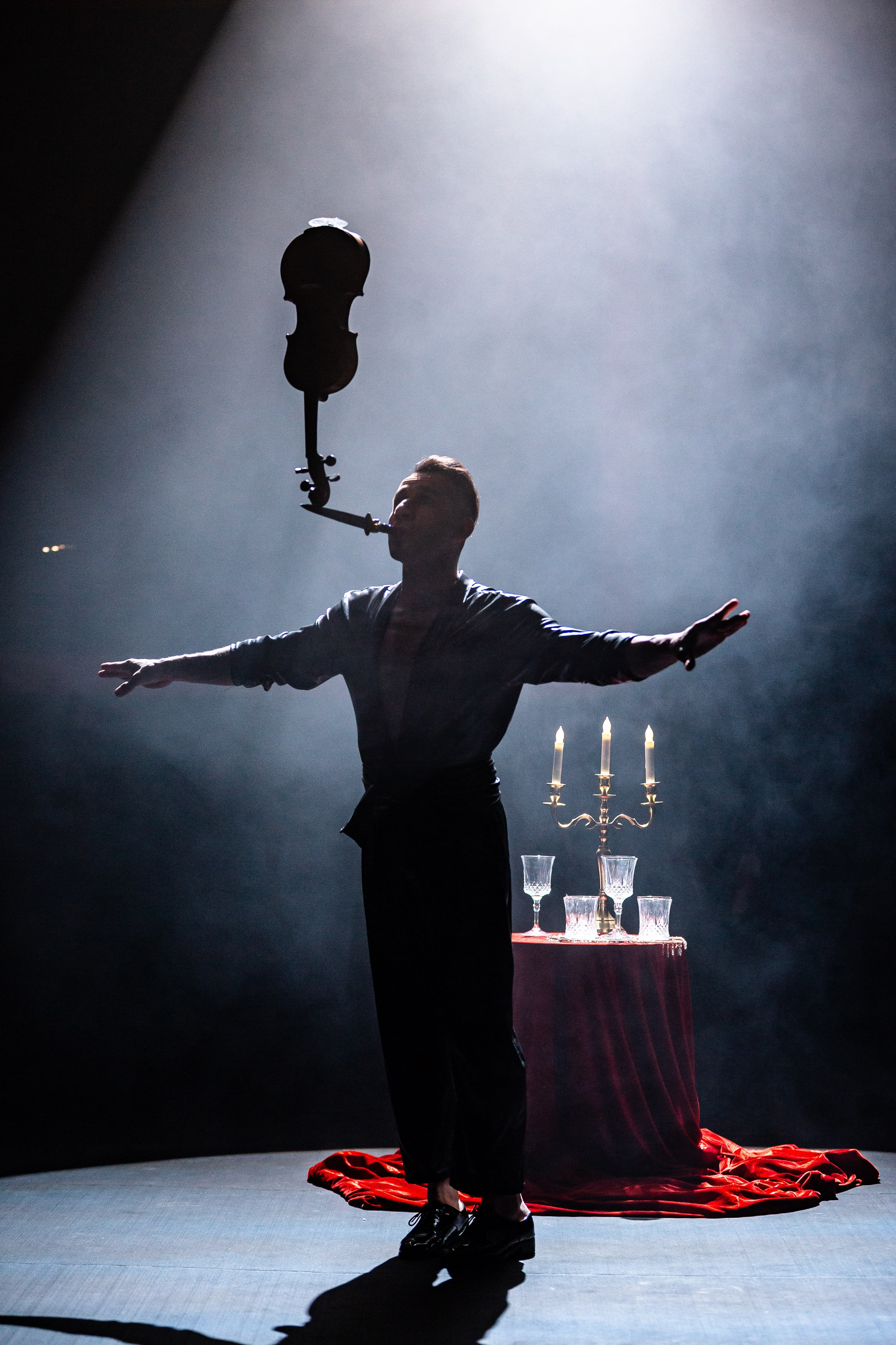 Цирковое шоу. Видеограф Добромыслов