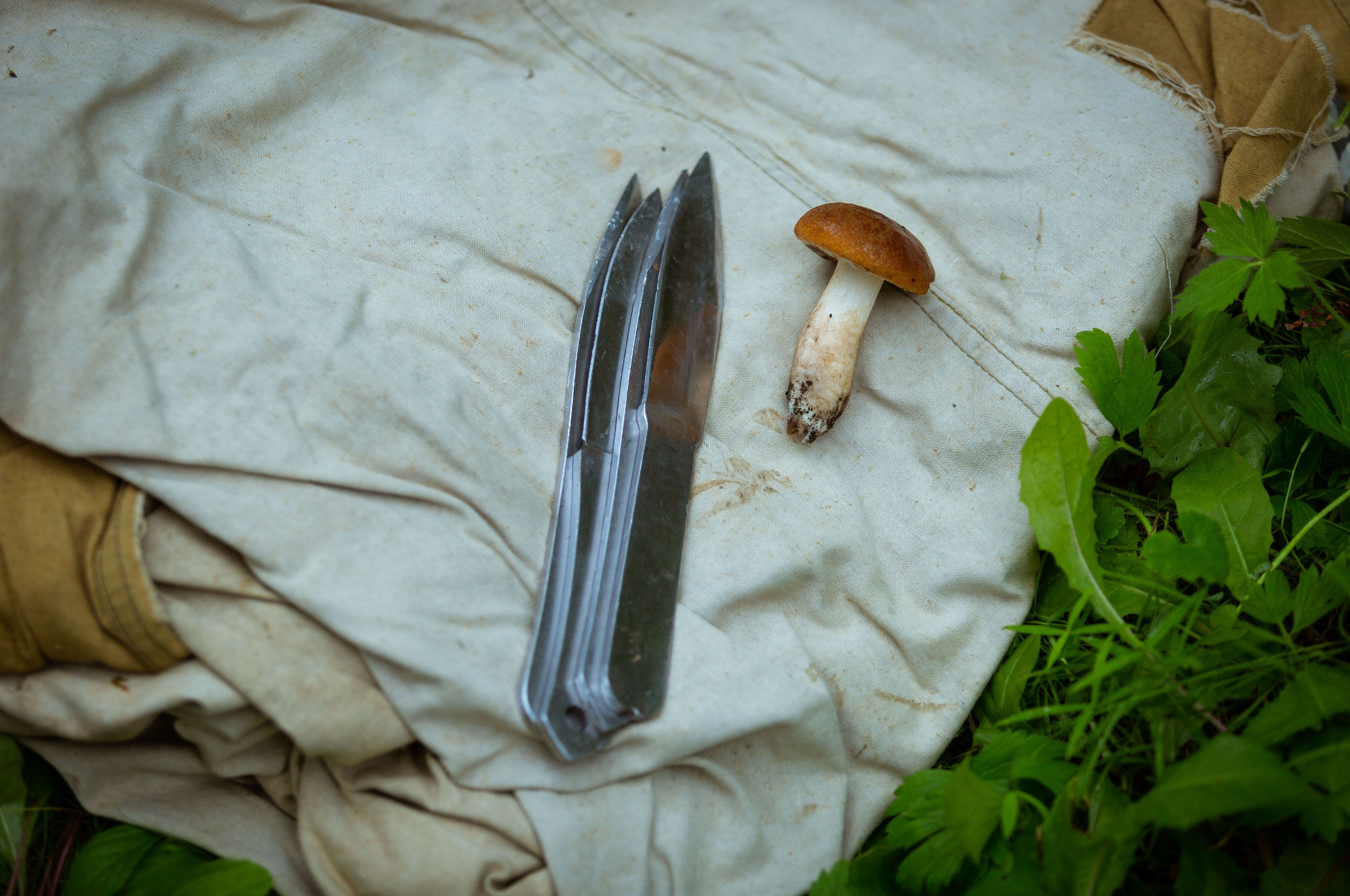 Соревнования среди СПО «Гвардия» [08/09/22]. Фотограф Виноградов Константин