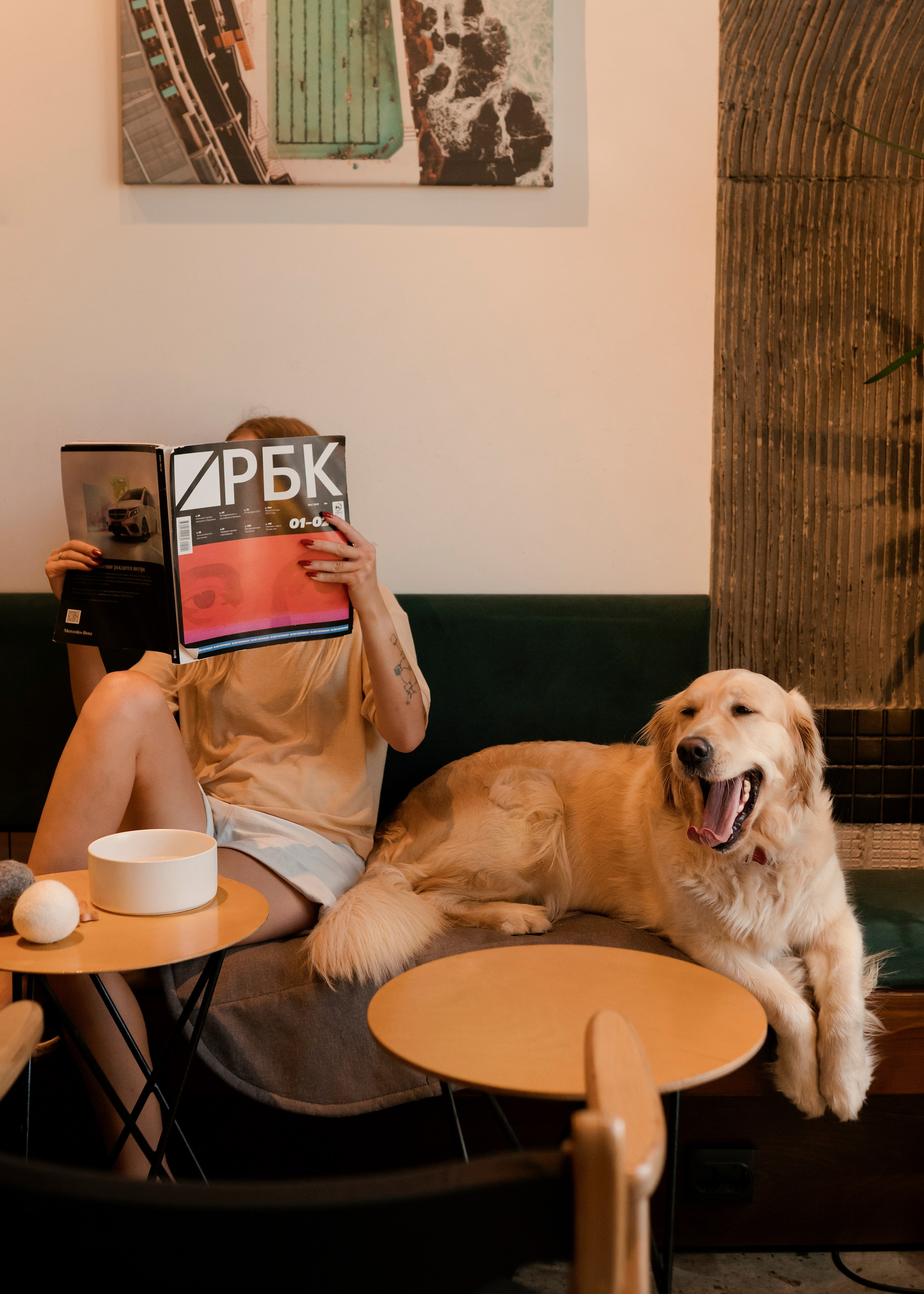 Bow-Wow. Фотограф- анималист Александра Матвеева