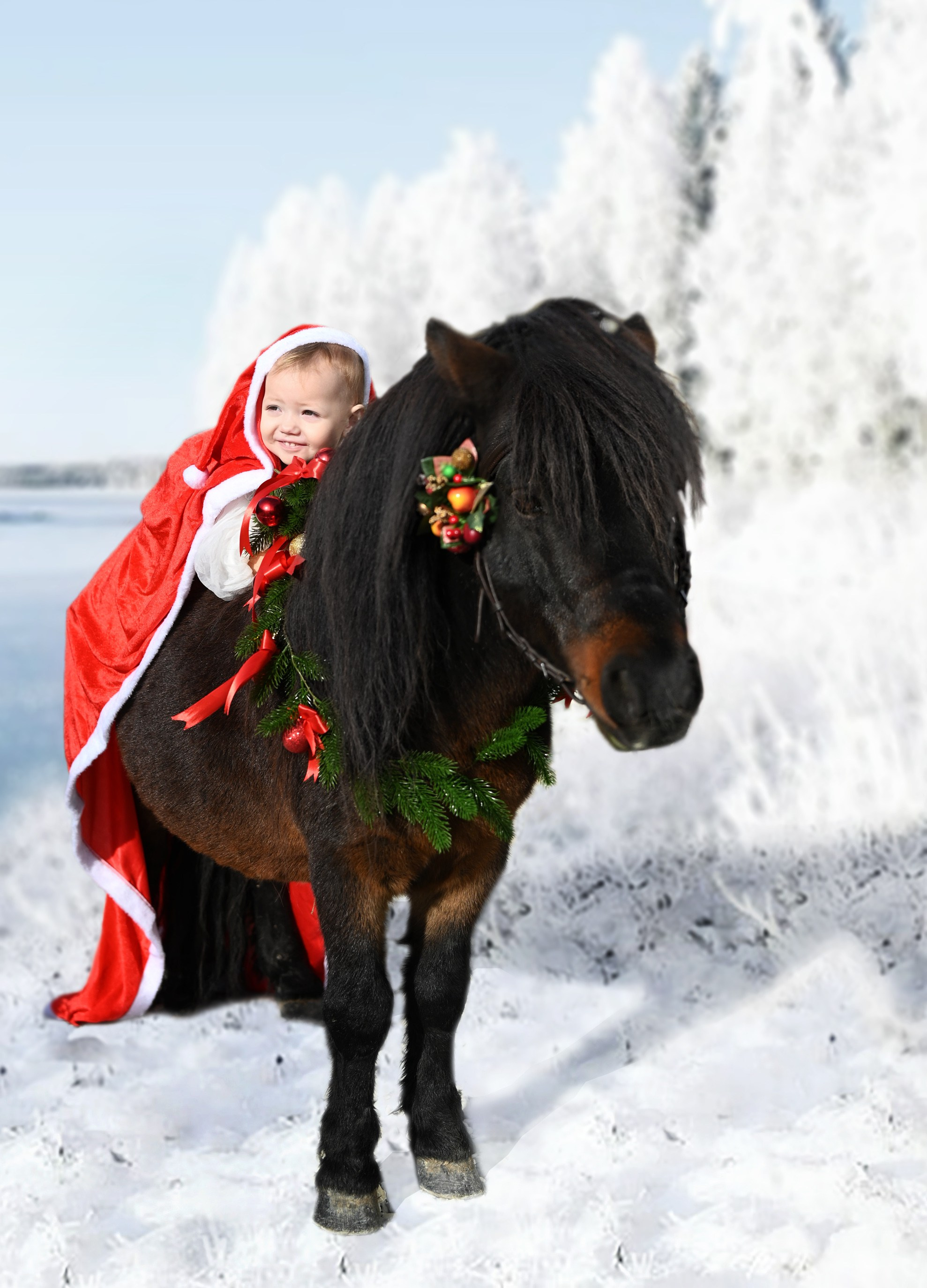 Лошади. Главная