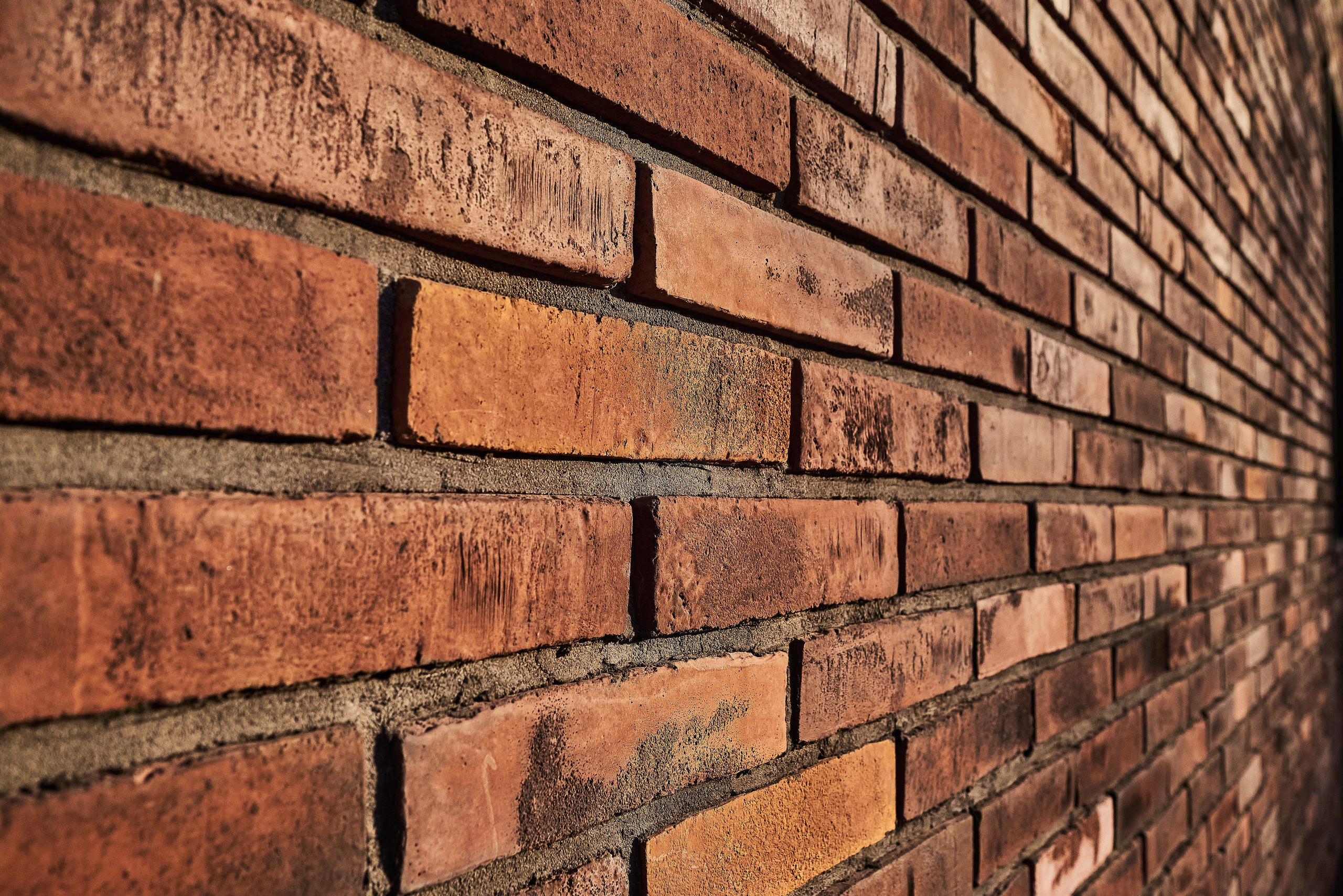 БМ Портфолио