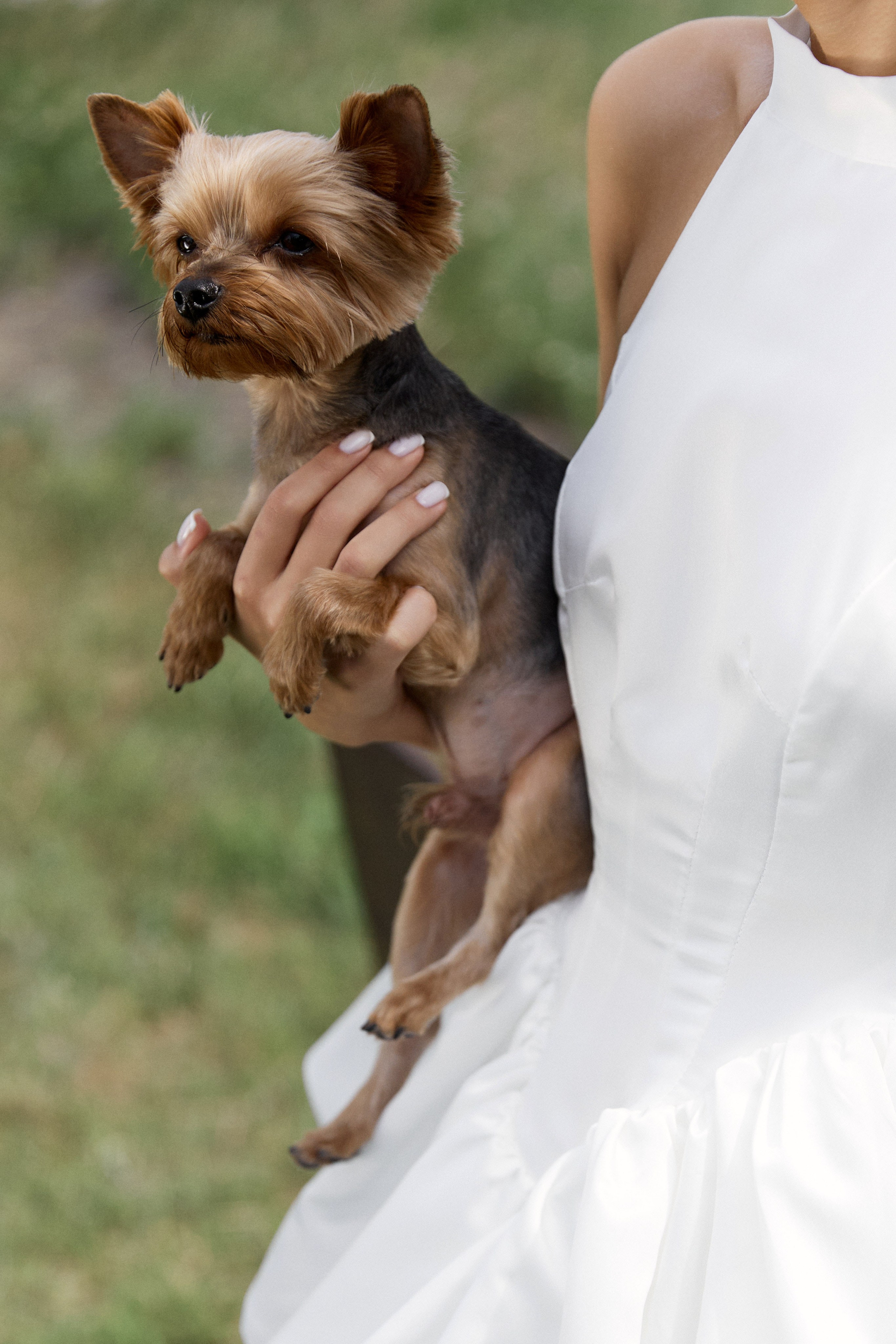 Посмотреть серию. Свадебный и семейный фотограф в Красноярске Тряпчев Павел