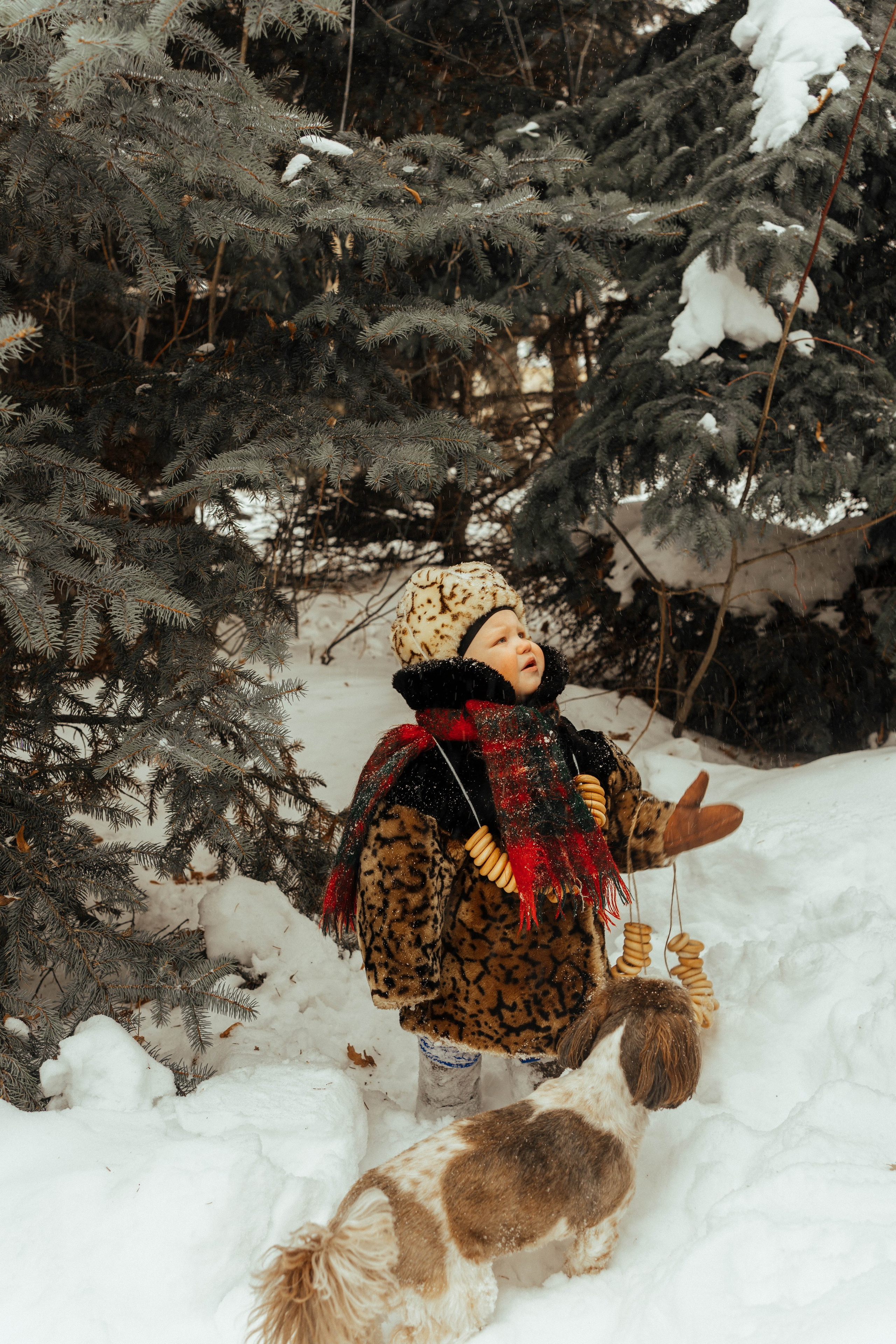 Фотопроект «Зимний лес». Семейный и детский фотограф новорожденных Ульяновск
