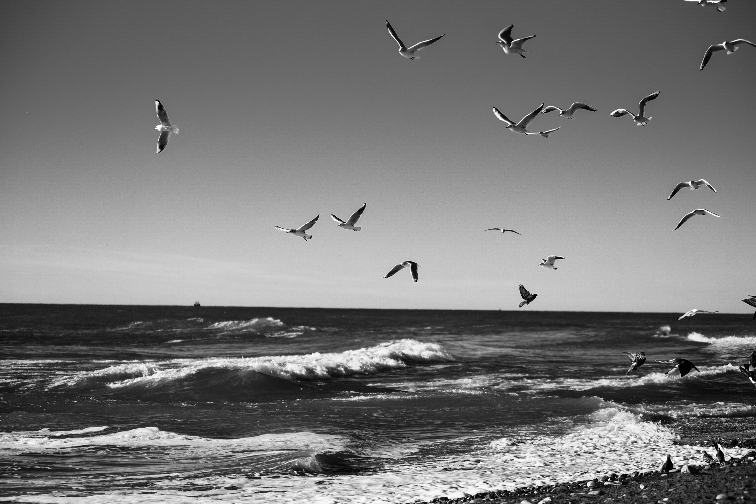 Monohrom. Anastasia Serdyuk, travel photographer, travel photo, portraits, stories, fineart prints