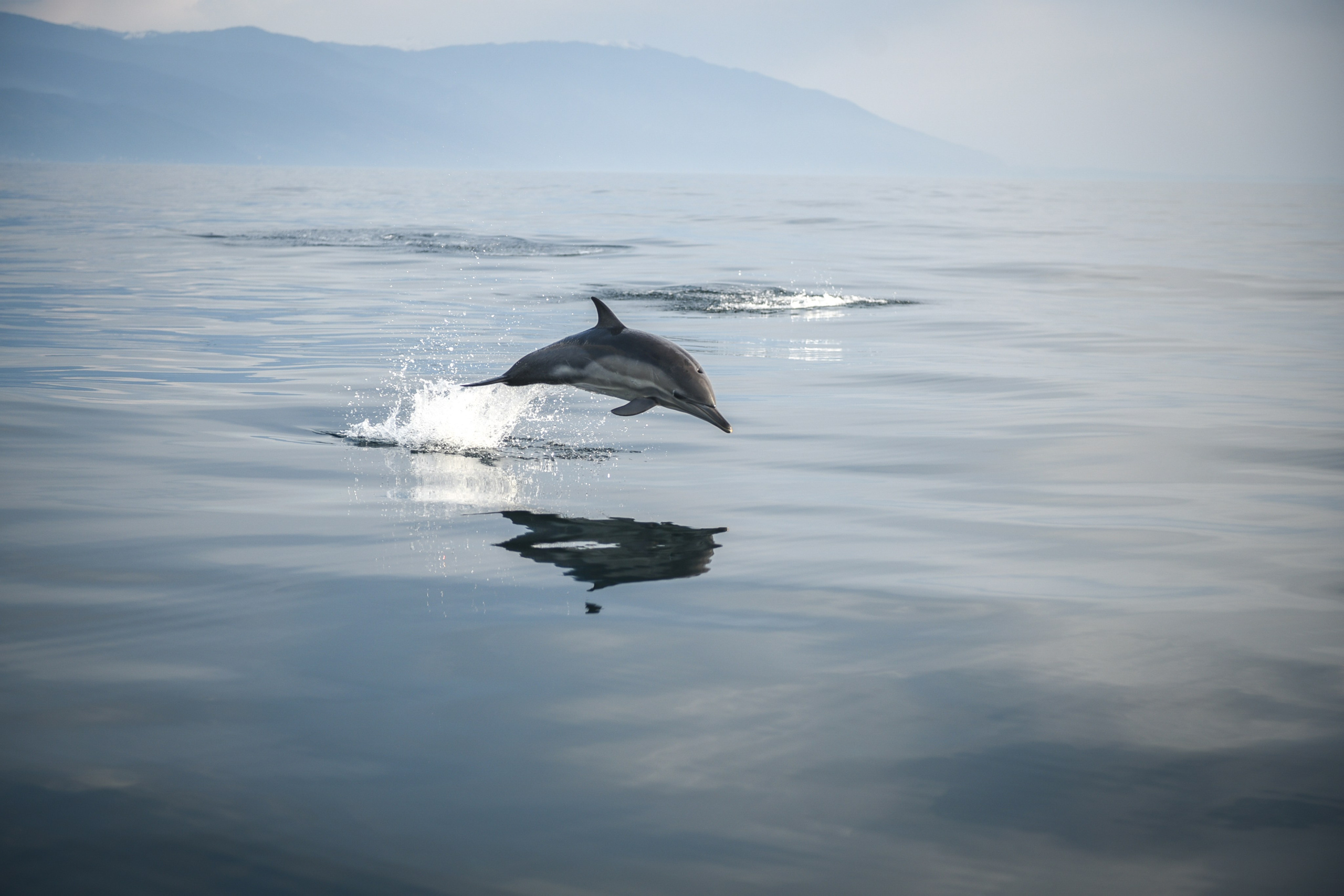 Wild and free. Anastasia Serdyuk, travel photographer, travel photo, portraits, stories, fineart prints