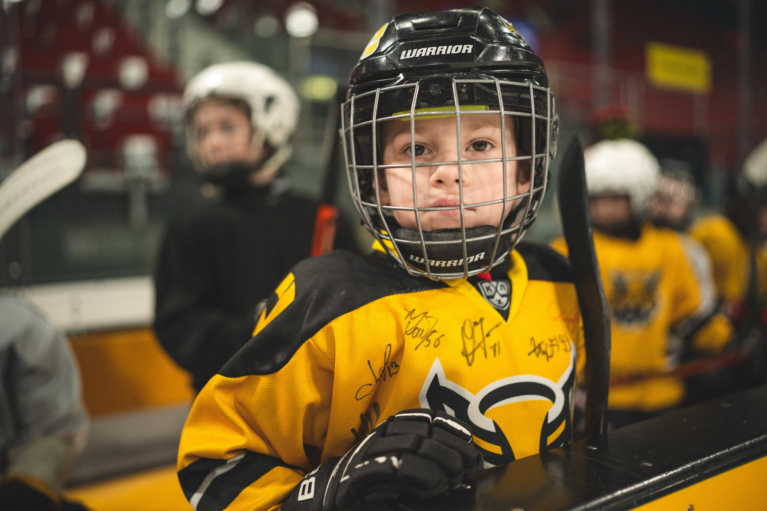 ХК Северсталь (младшая группа). Череповец. Zekons. Фото, видео, нейросети