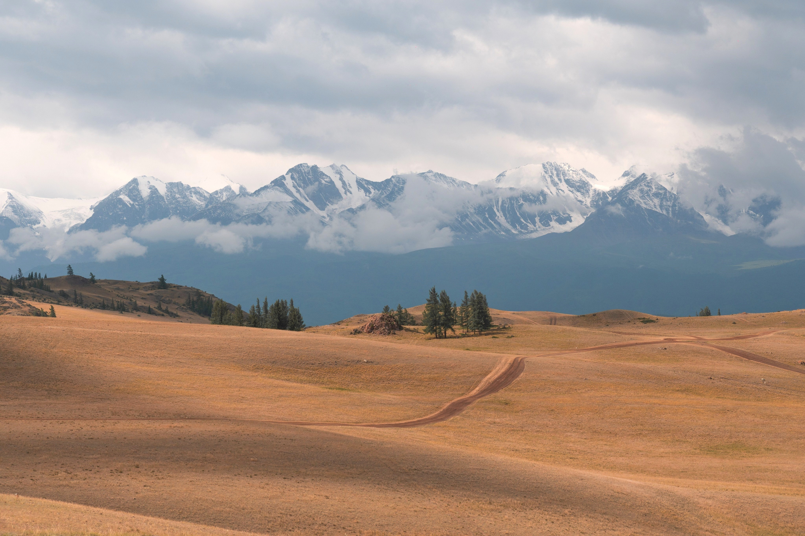 Портфолио. Andrew Gusarov Nature Photography