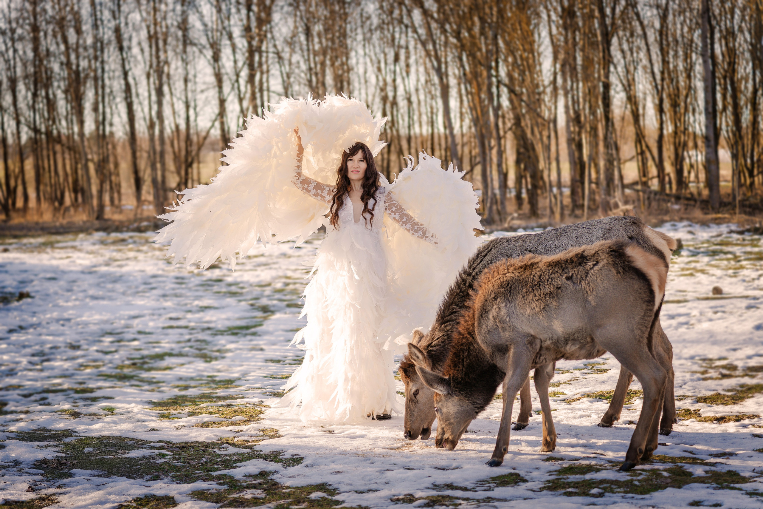 Фотосъемки с животными. Главная