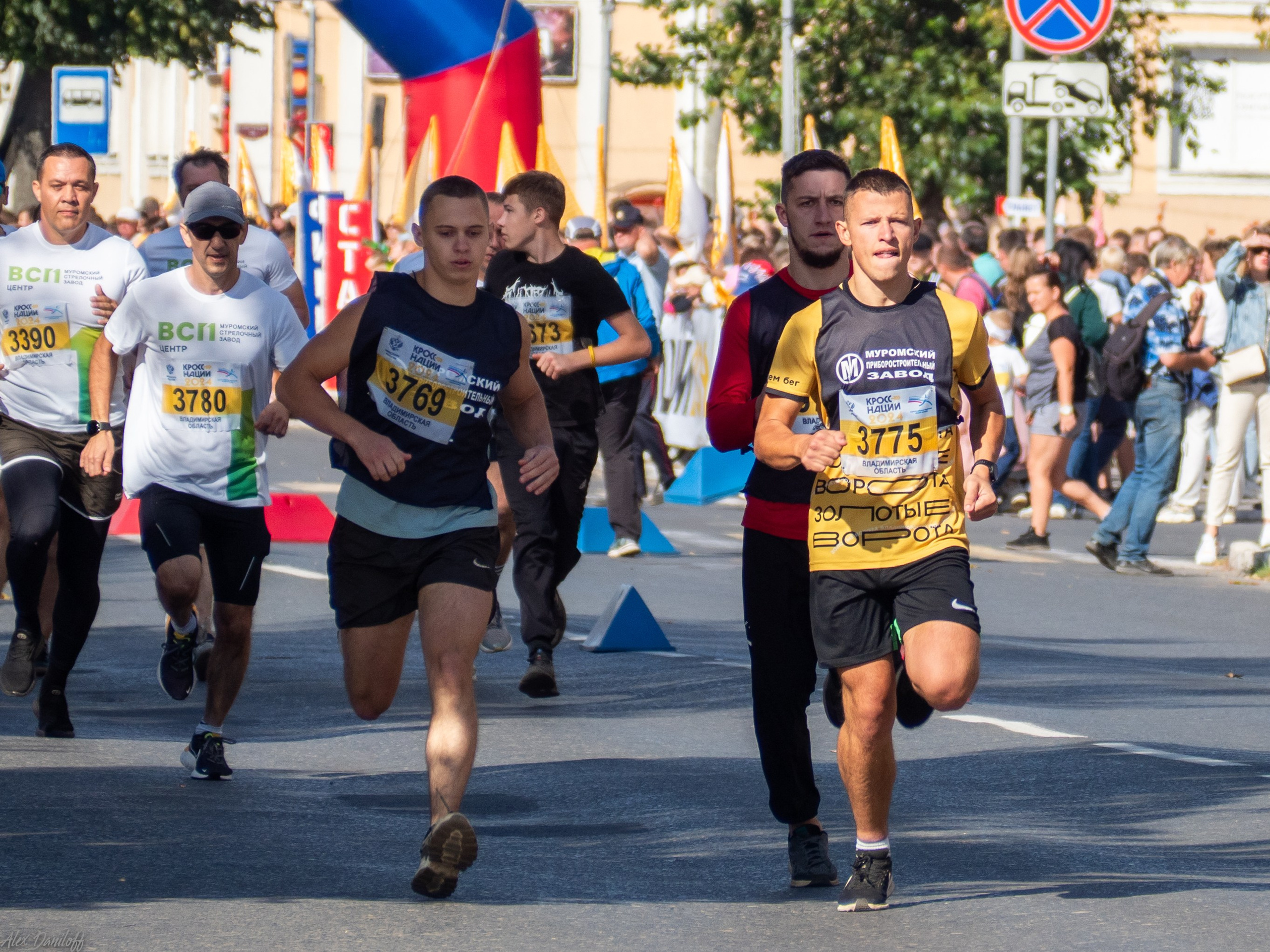 Кросс нации 2024. Муром-Инфо. Новости культуры, образования, спорта в городе Муром