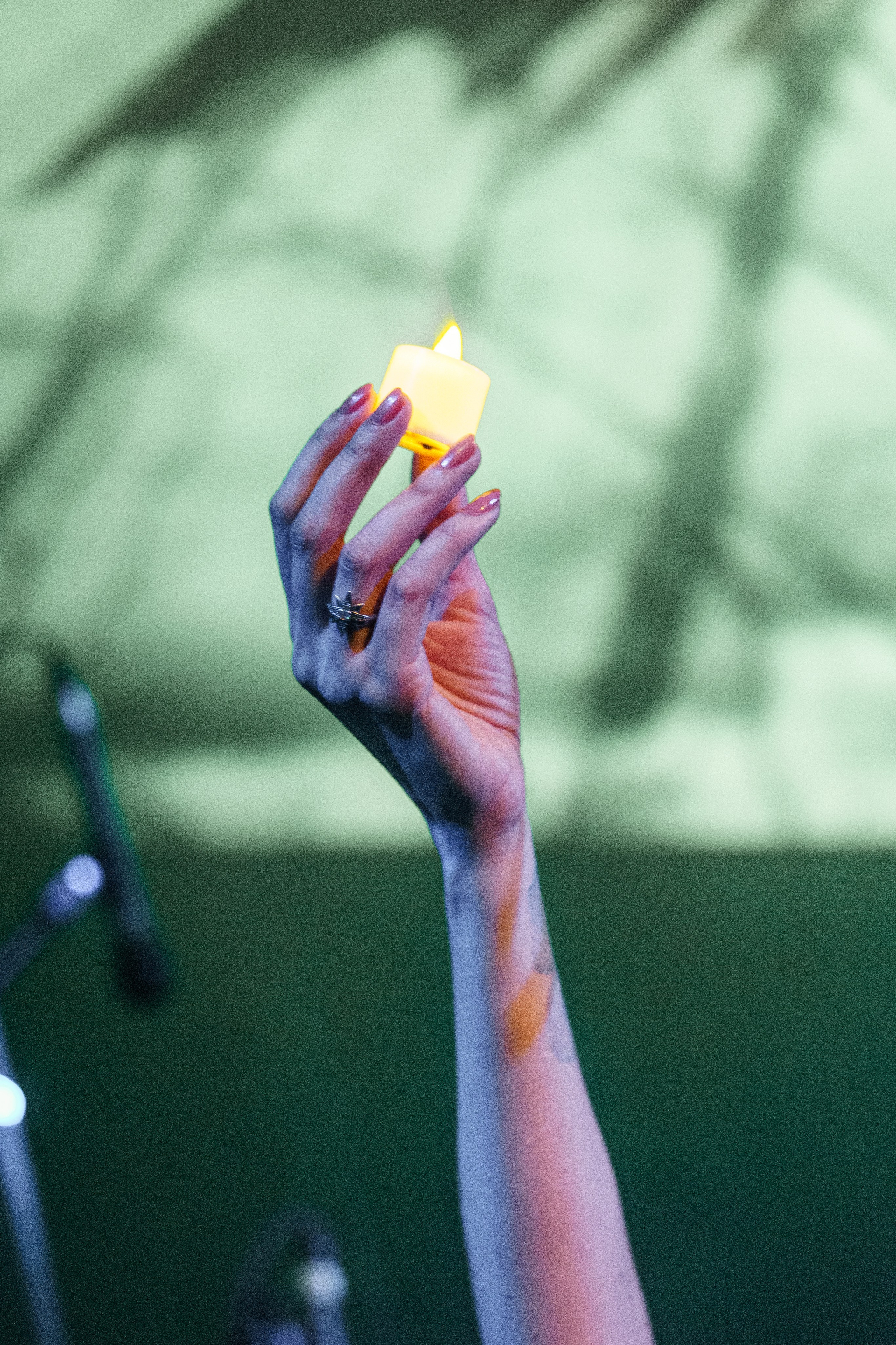 Inside the Rain|Ласточка. Концертный и репортажный фотограф в Санкт-Петербурге Слава Пахомов