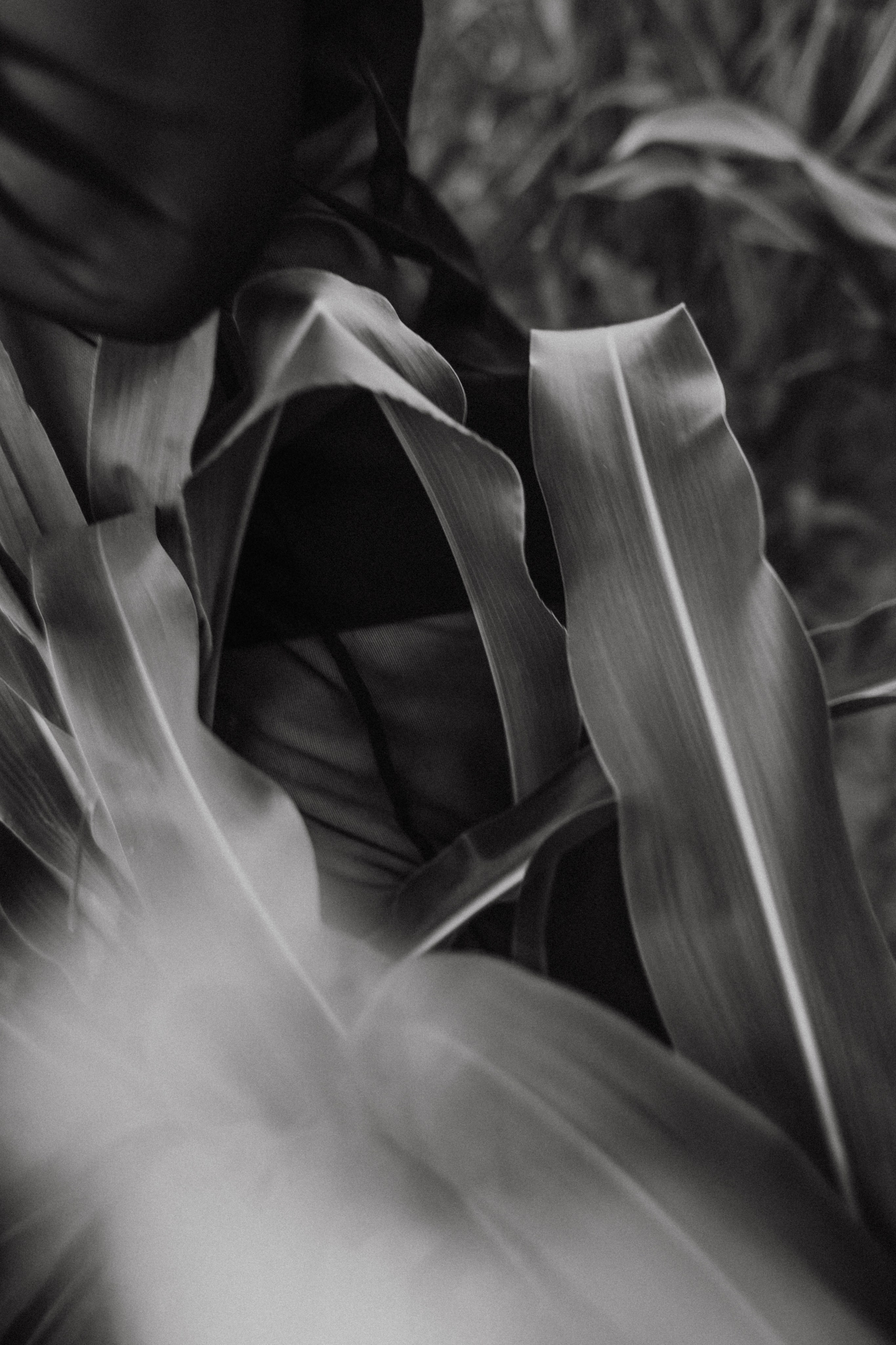 Анна на закате. Фотограф в Нижнем Новгороде