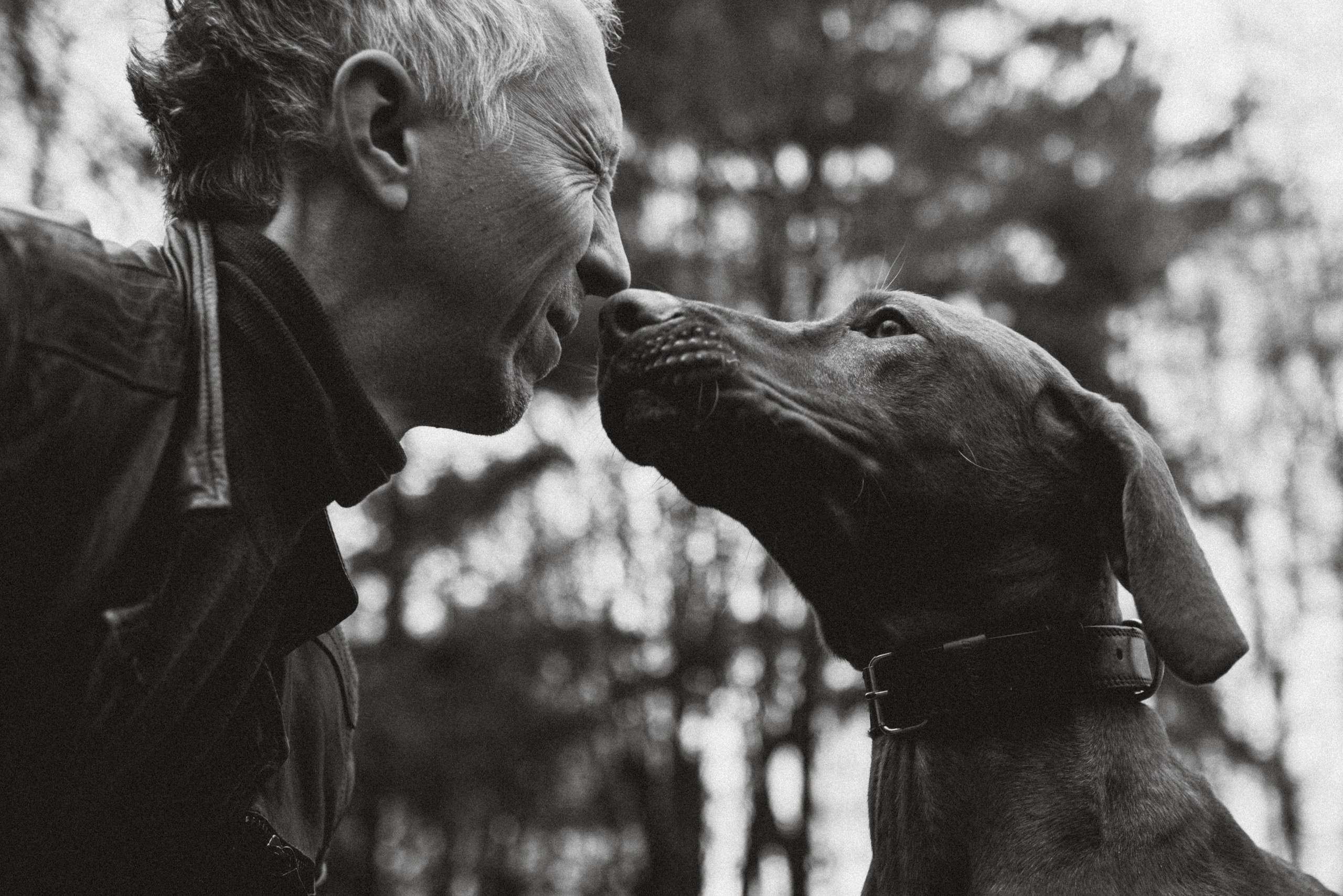 Дориан и его семья