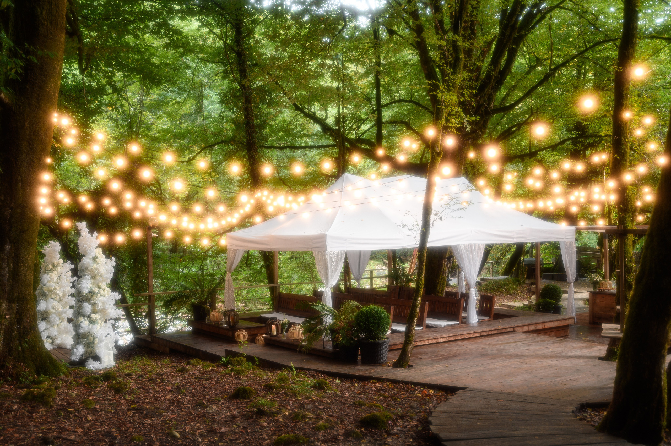 Общий кадр атмосферы и интерьеры свадебные церемонии в лесу глемпинге енот в городе Сочи