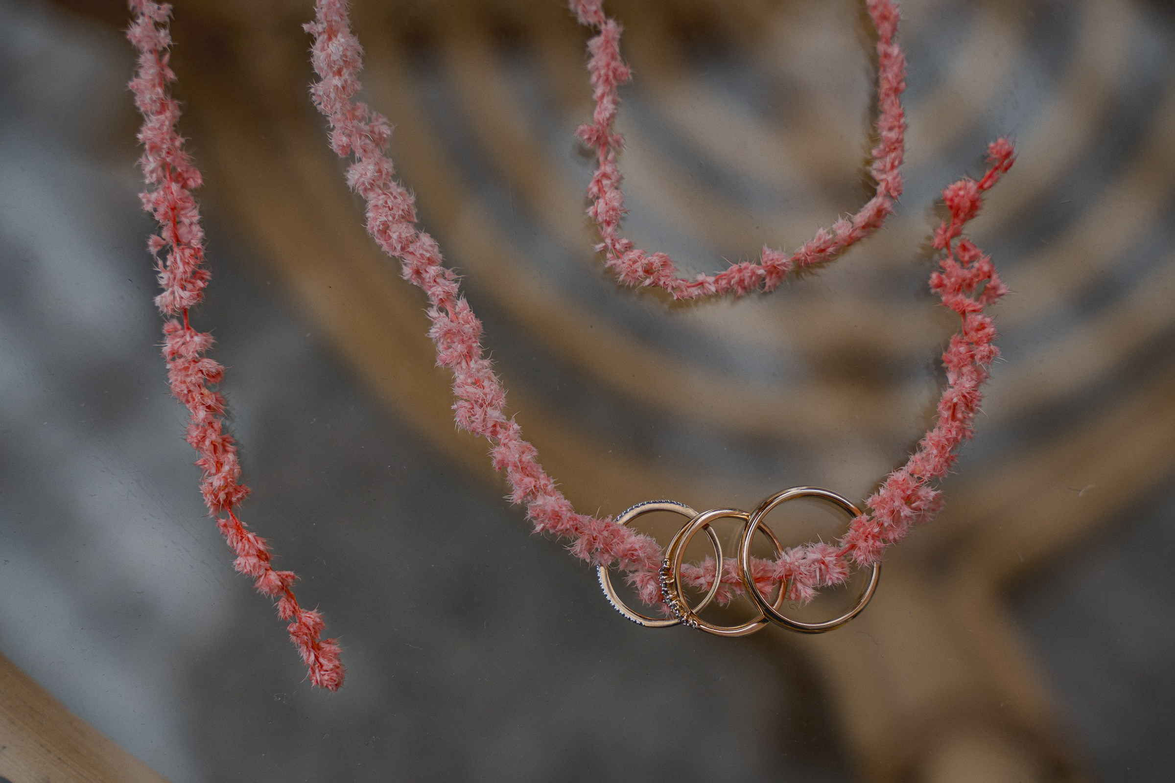 Дикая Мята. Свадебный фотограф Александр Осипов