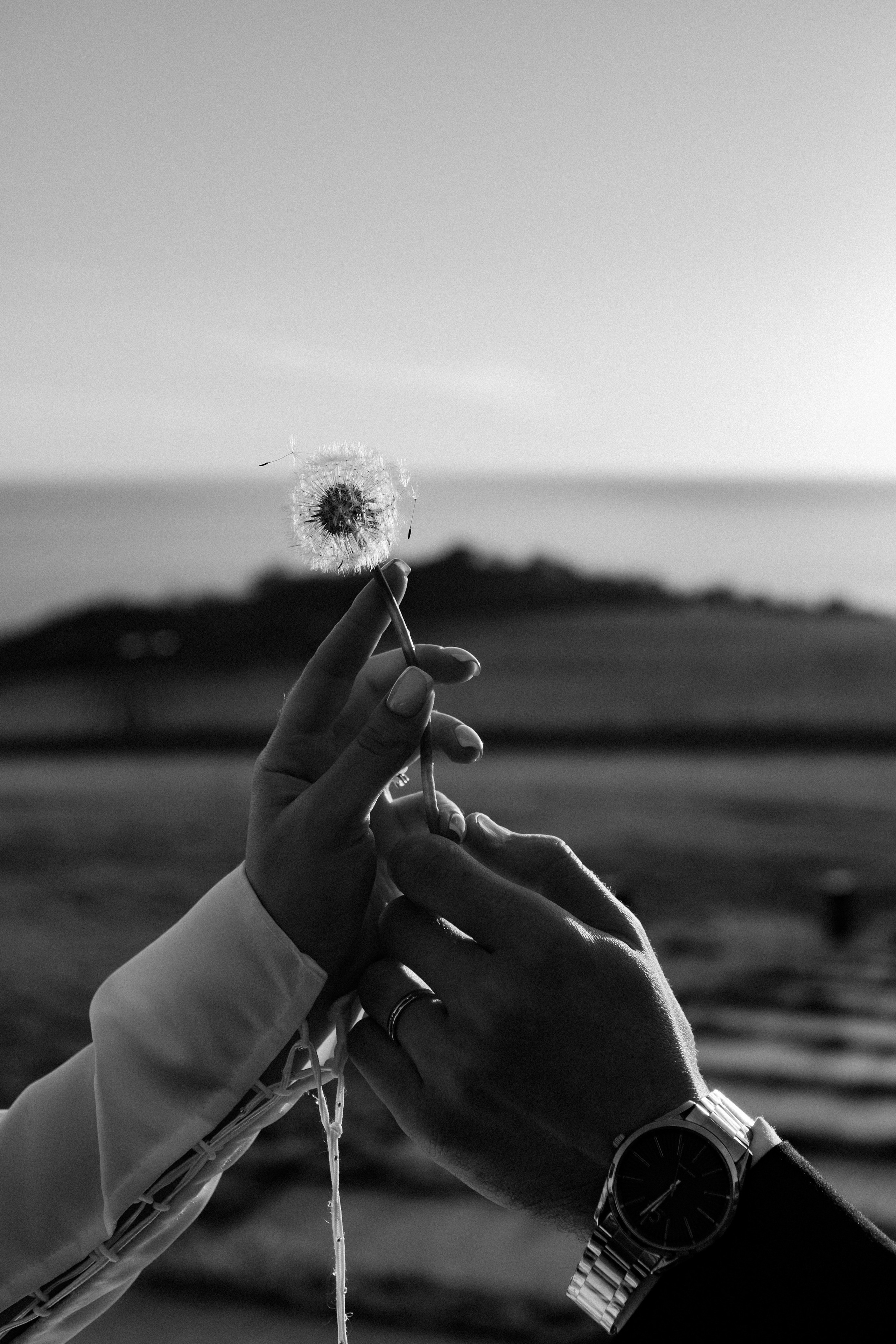 Микаэл и Шушана — Анонс свадьбы. Свадебный фотограф, фотосъемка в Крыму, Севастополе, Симферополе, Ялте