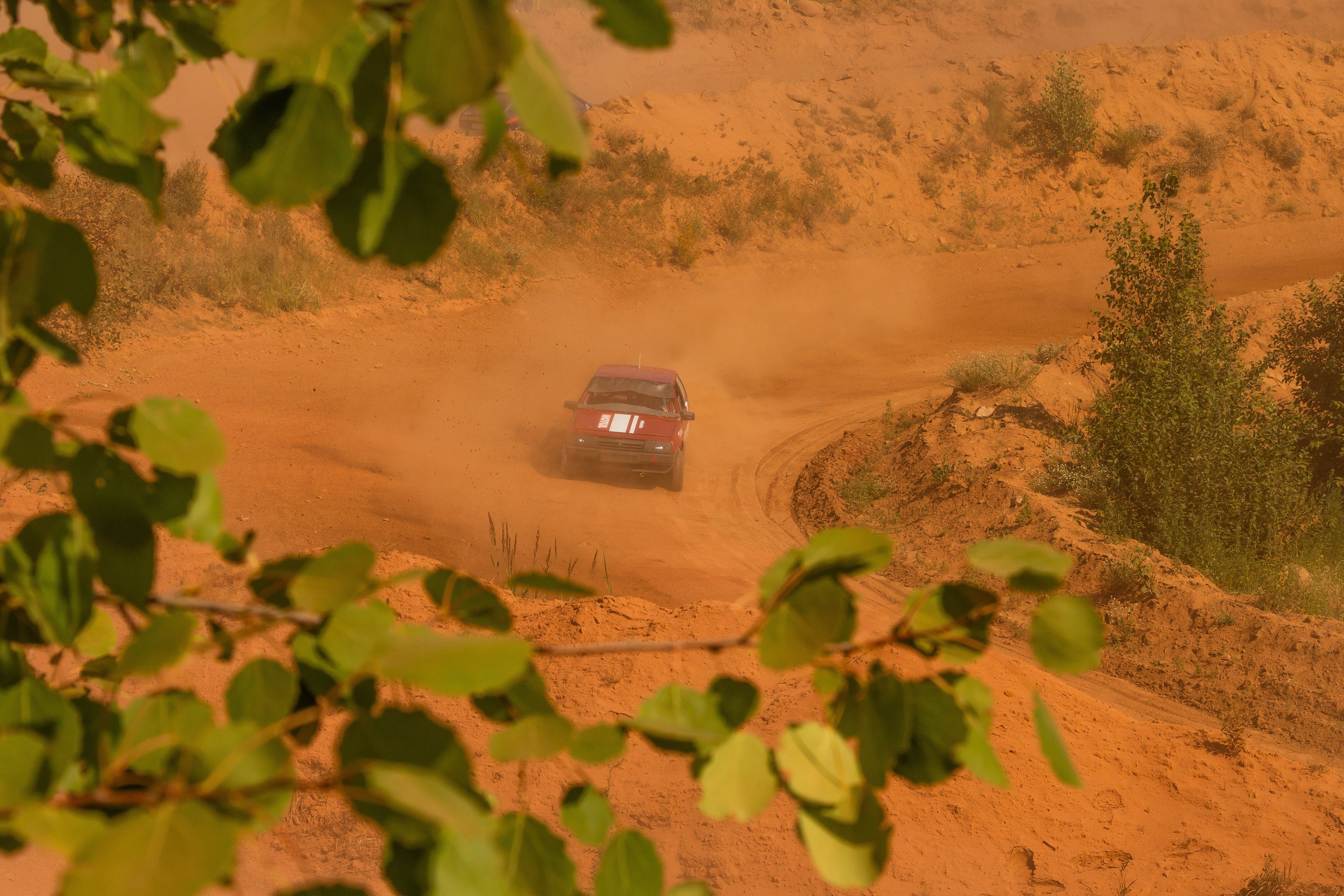 Фестиваль газуй. Олег Романов. Мастер фото по спорту