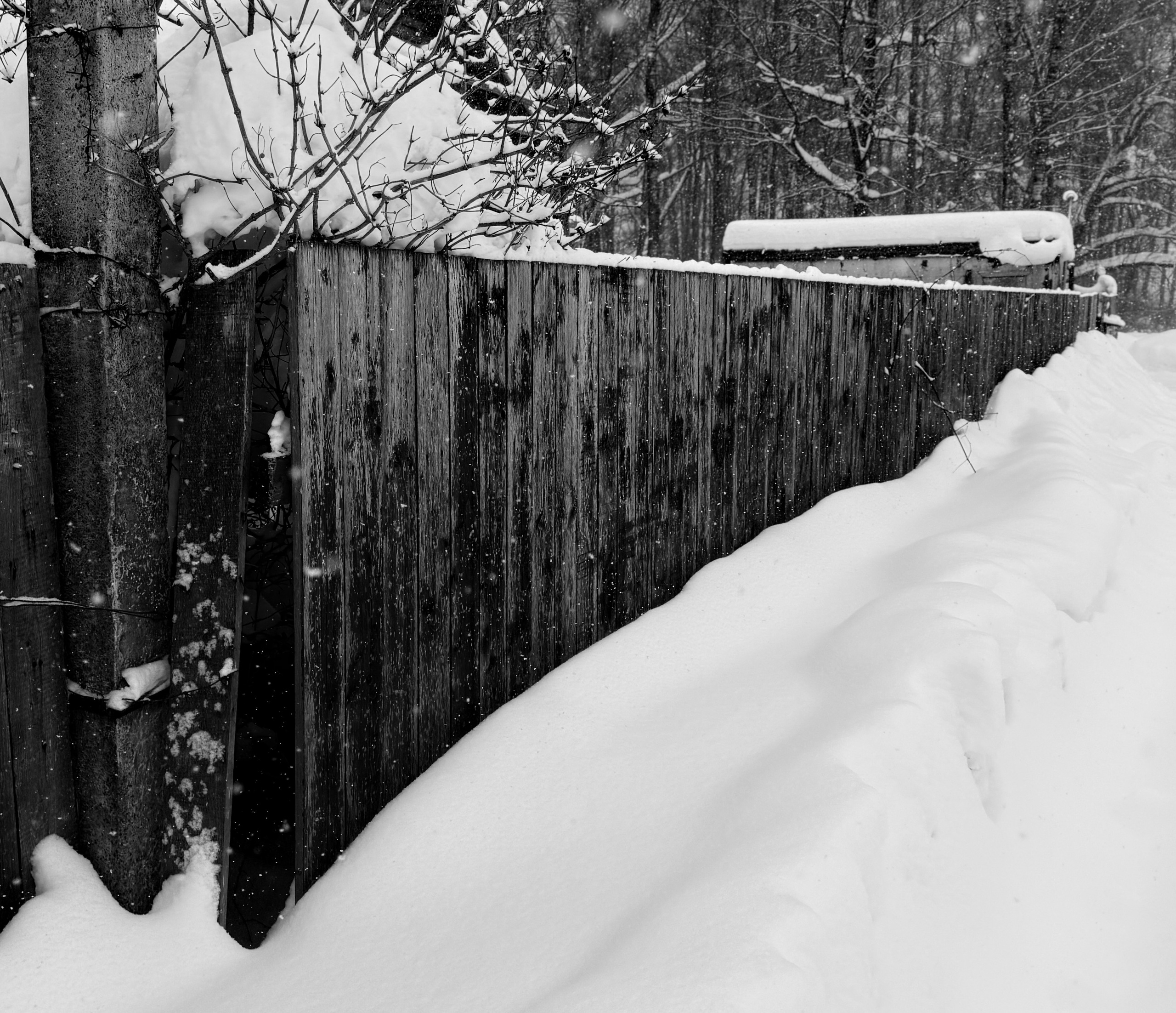 Winter. Фотограф Арсений Королев