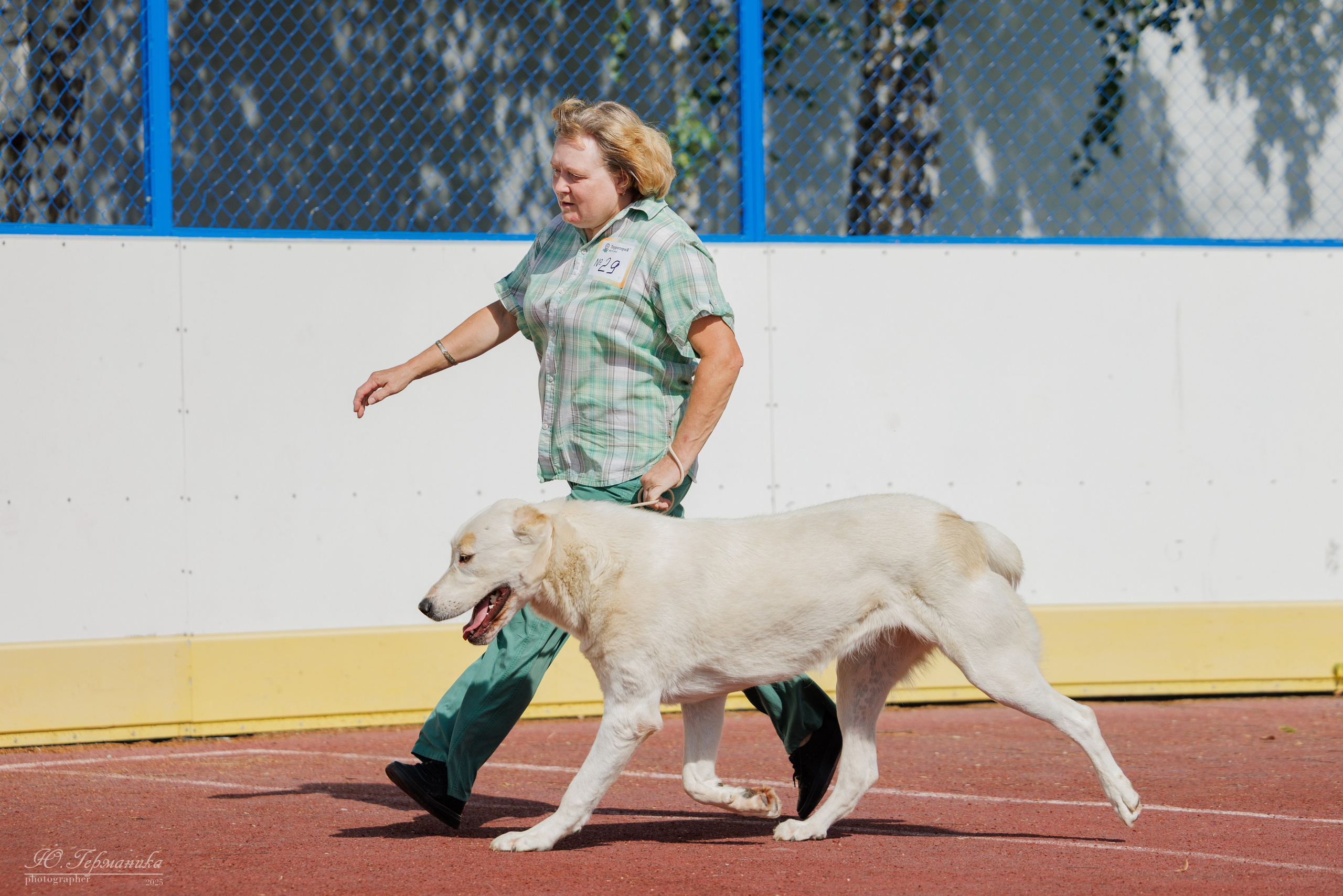 Коломна 30.08.2025. Фотограф-анималист Юлия Германика