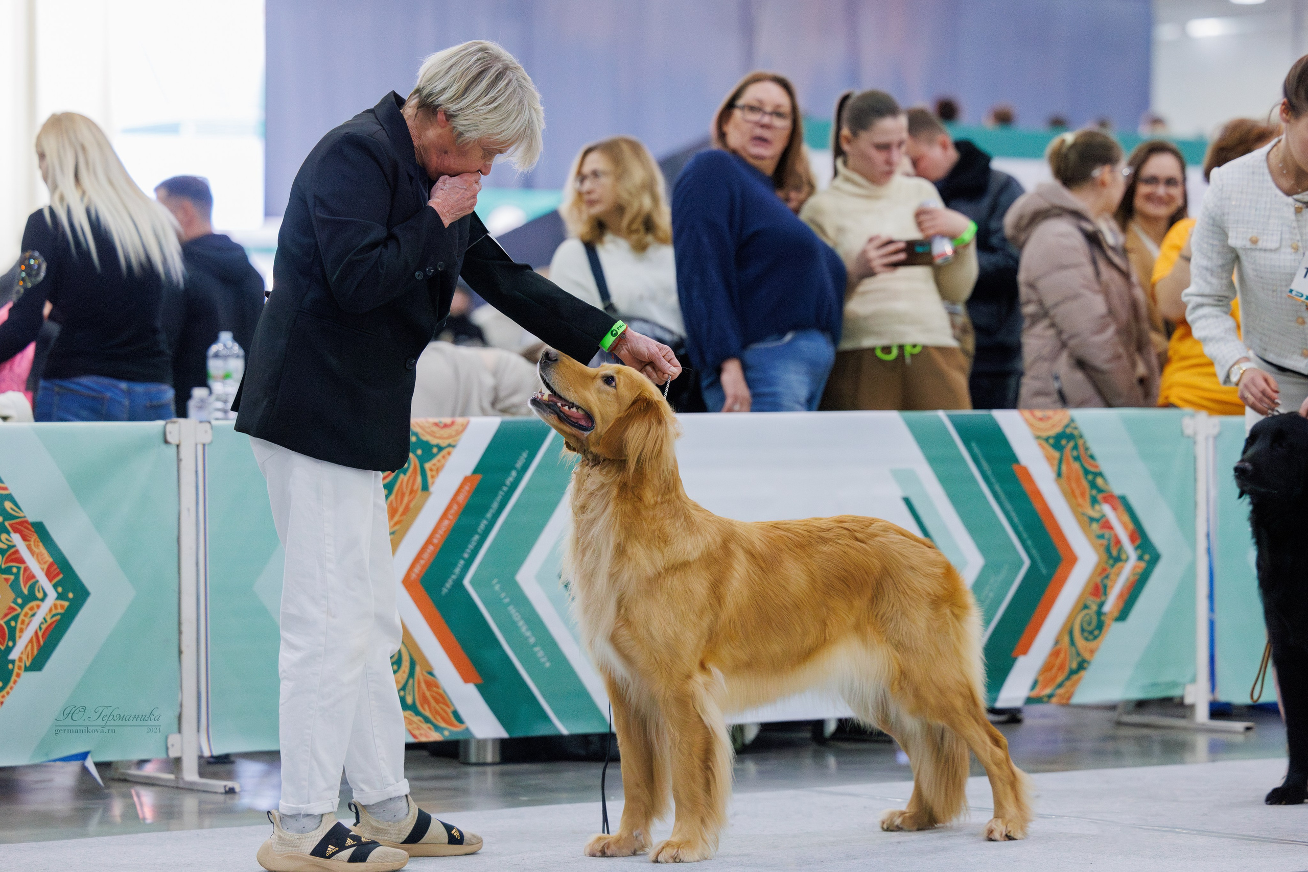 Евразия 16-17.11.2024. Фотограф-анималист Юлия Германика