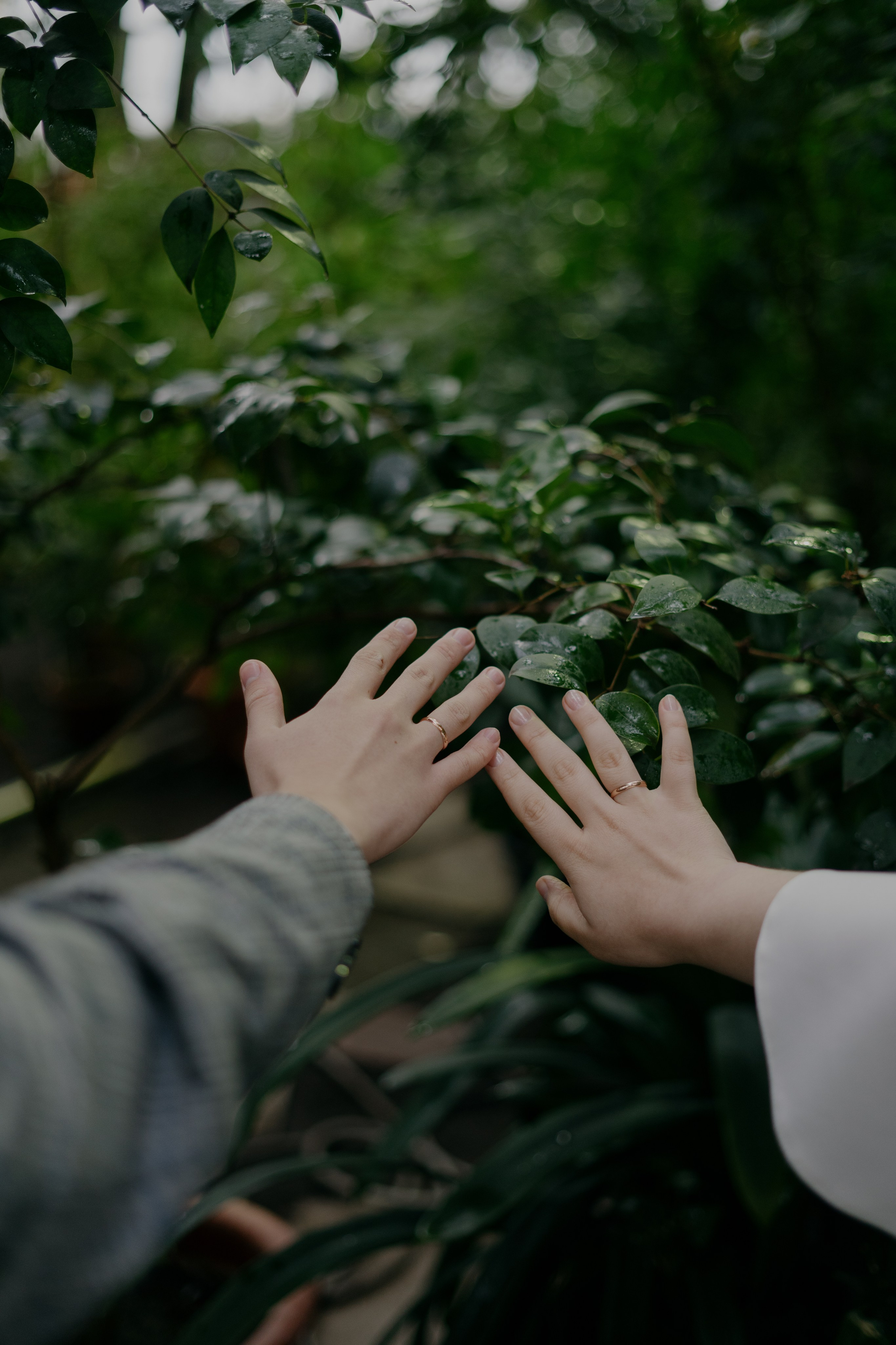 Елизавета Никита. Фотограф Томск Новосибирск Елизавета Вахтеева