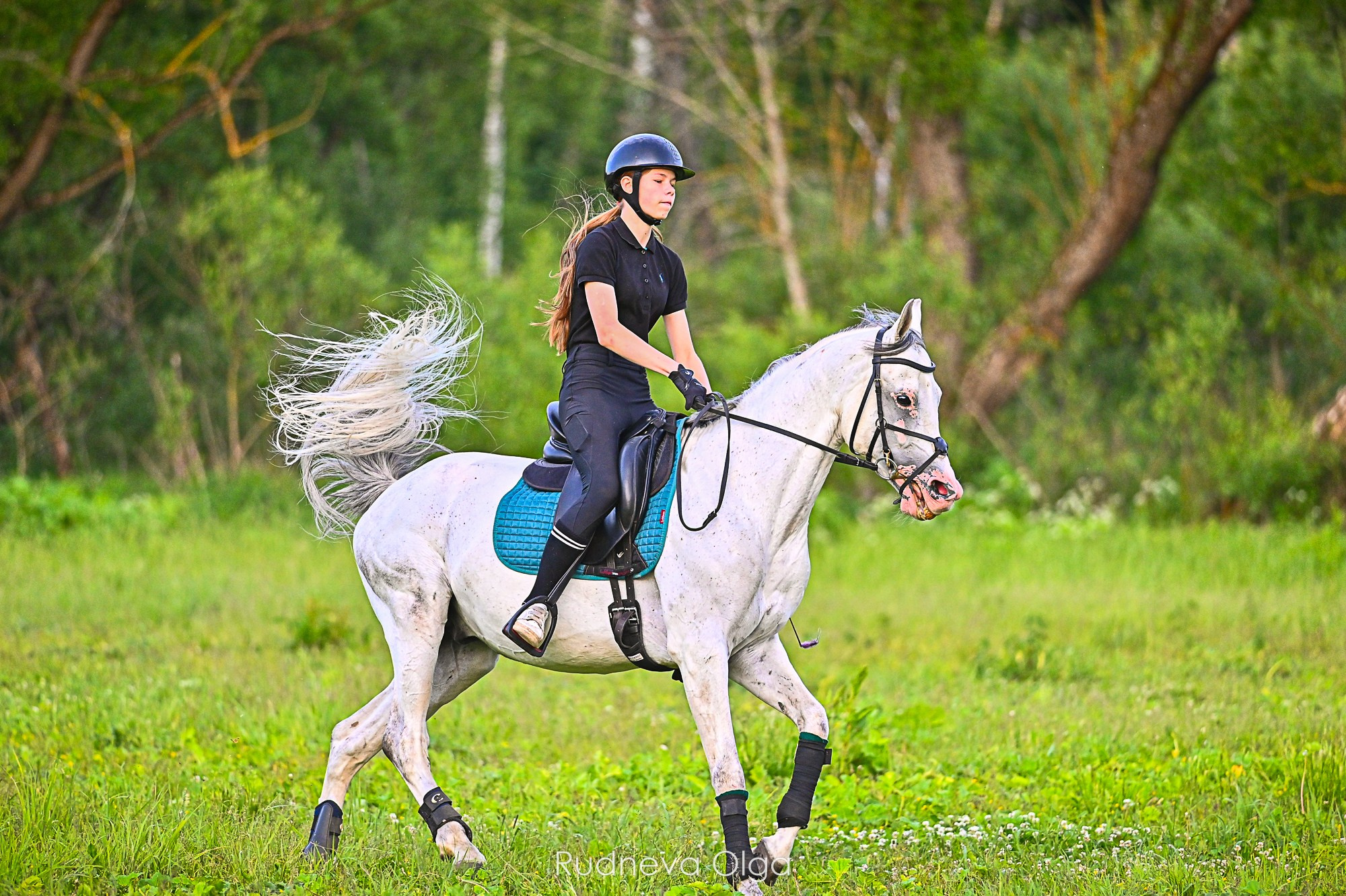 Тренировка КСК Сынково. ТУРНИРНАЯ КОННАЯ ФОТОГРАФИЯ, Руднева Ольга и Евгений Адеев