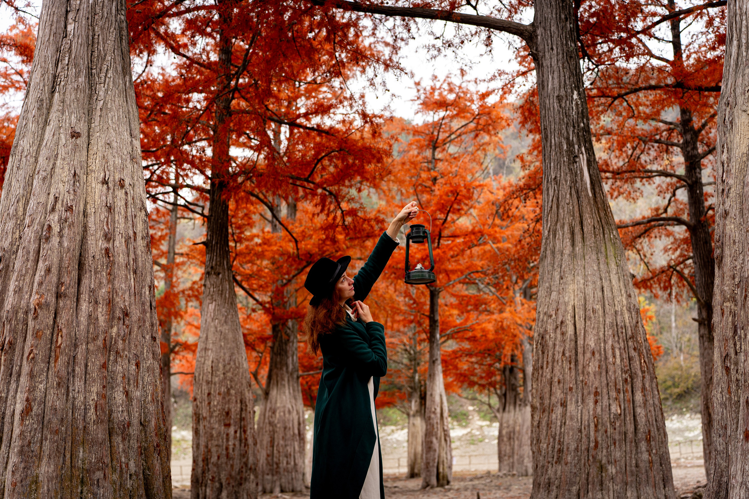 Осенняя фотосессия в Анапе — яркие кипарисы. Семейный и детский фотограф Екатерина Черняева. Снимаю портреты, love story, фотопрогулки, работаю на улице, в кафе, студии, дома у клиента