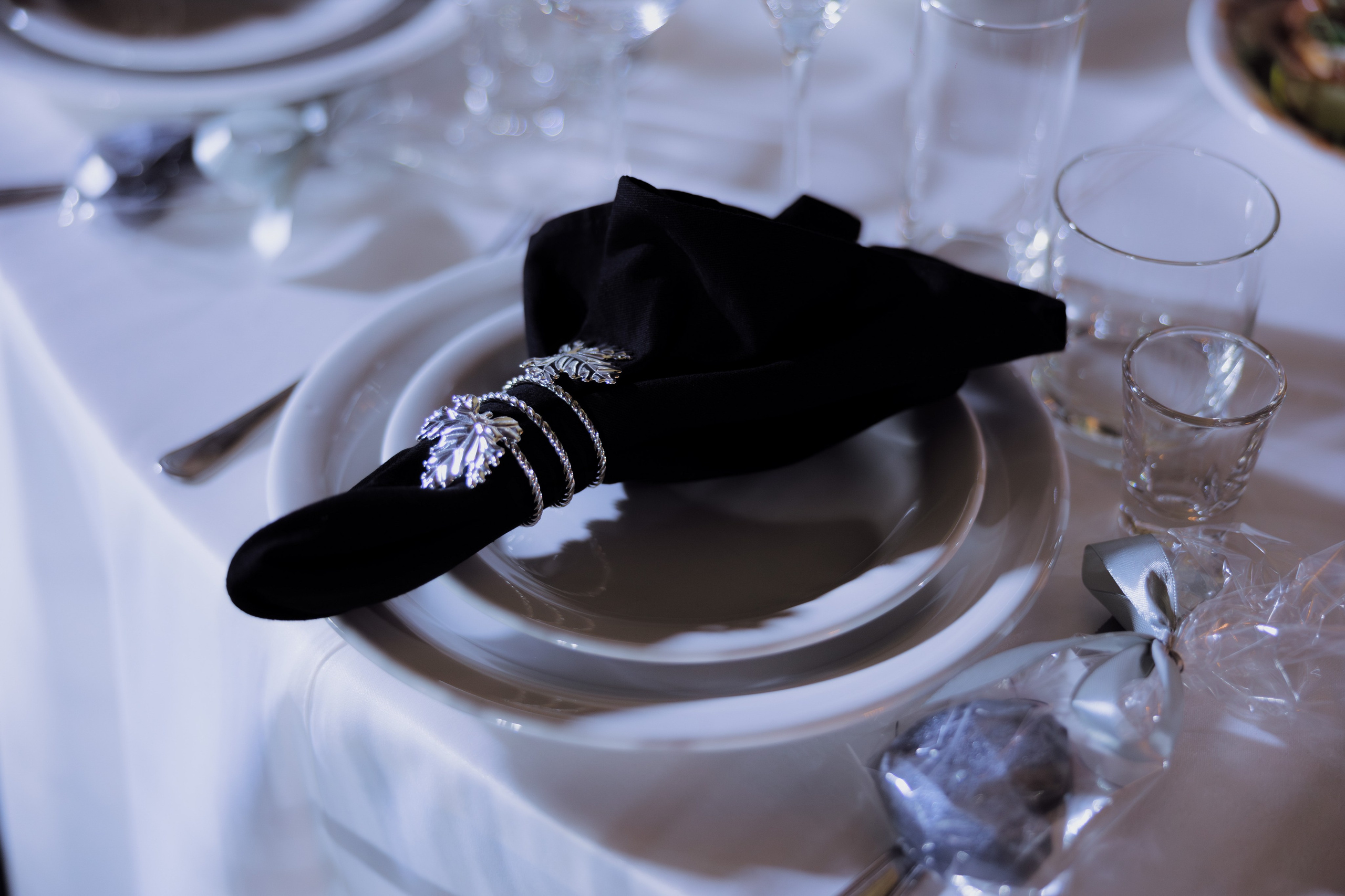 NATALIA_DMITRY (The Great Hall Yakimanka / Soluxe Hotel). Фотограф Андрей Ширкалин Москва Московская обл, Коломна, Рязань