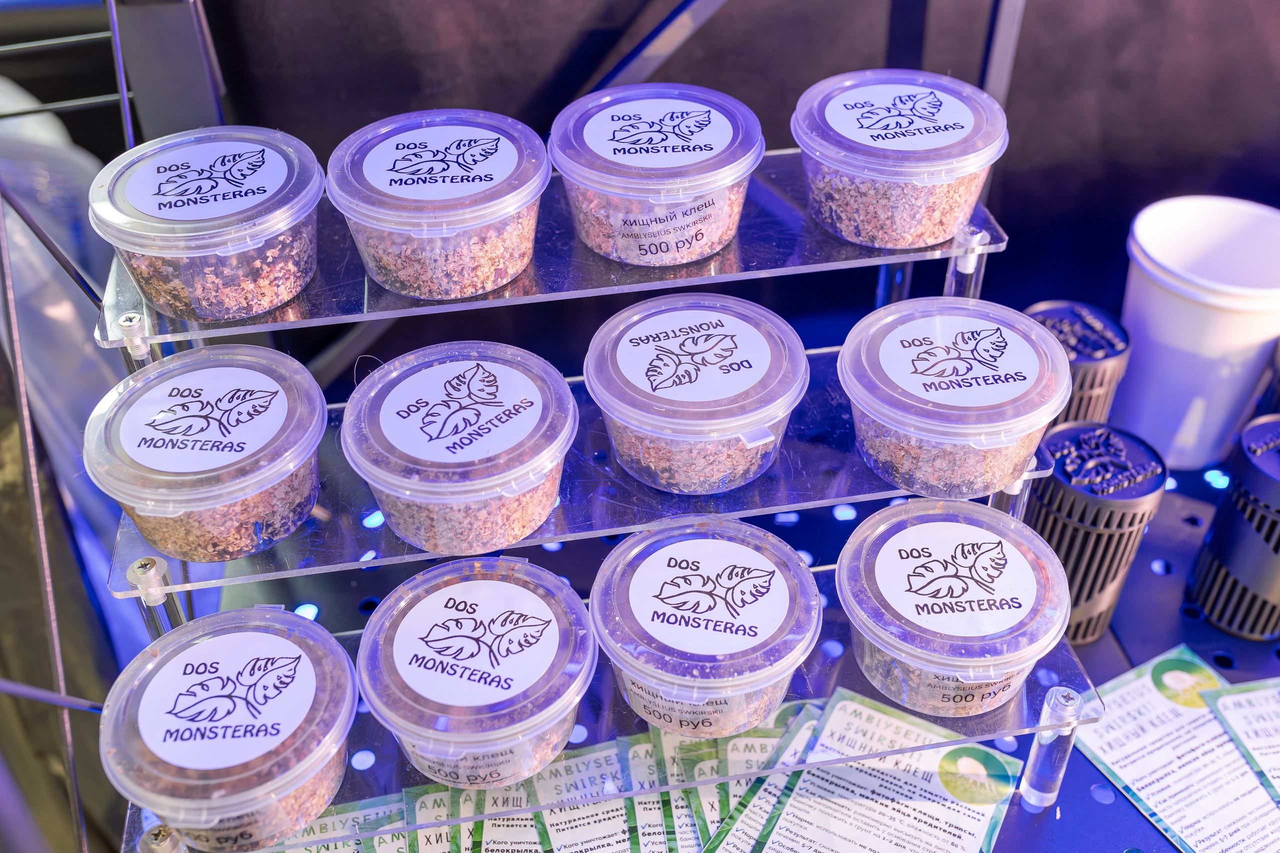 Орхидиум 12.2025. Александра Куликова фотограф, Москва