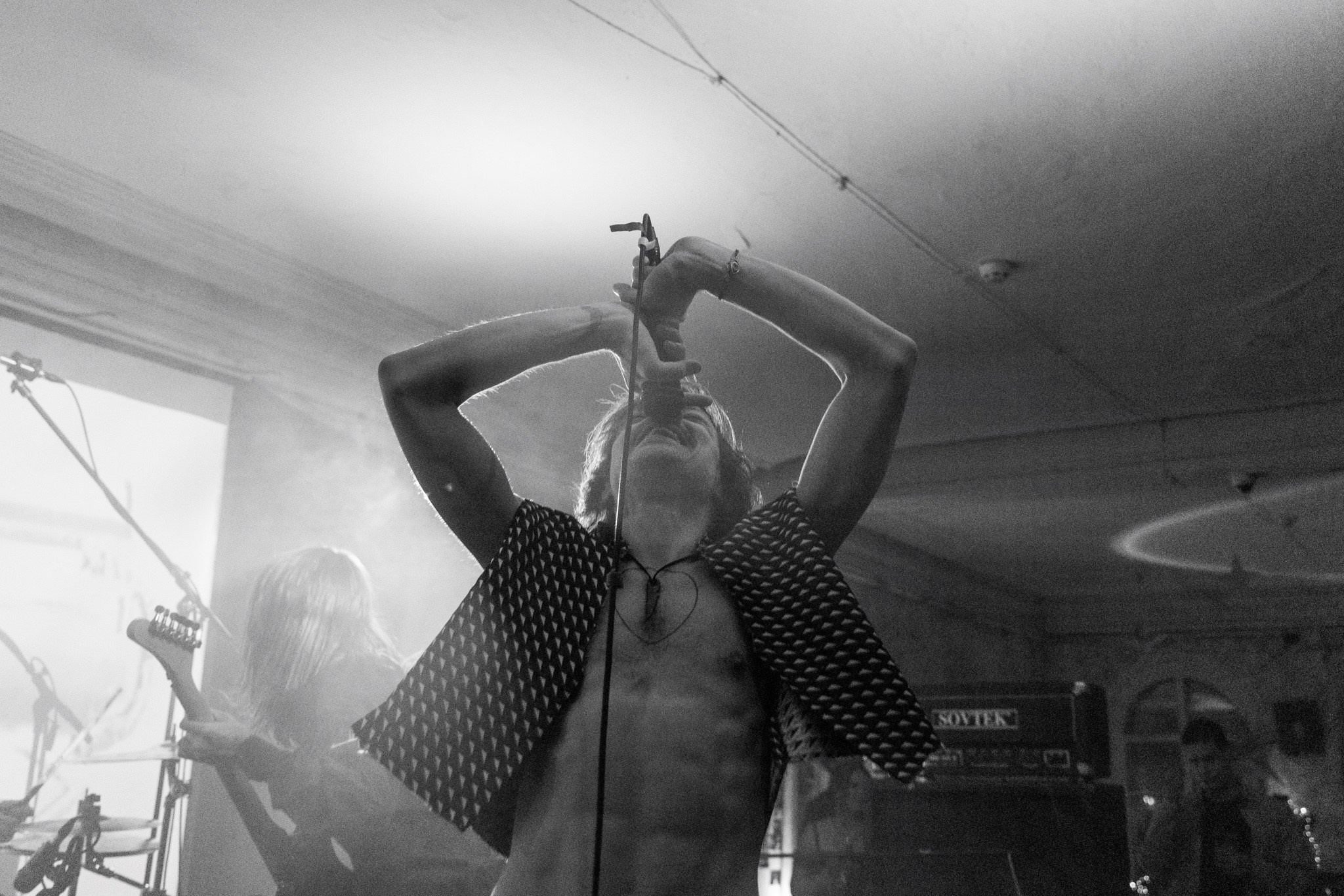 Змееед, Apodemus, 20.12.25, TAGO)))MAGO)))