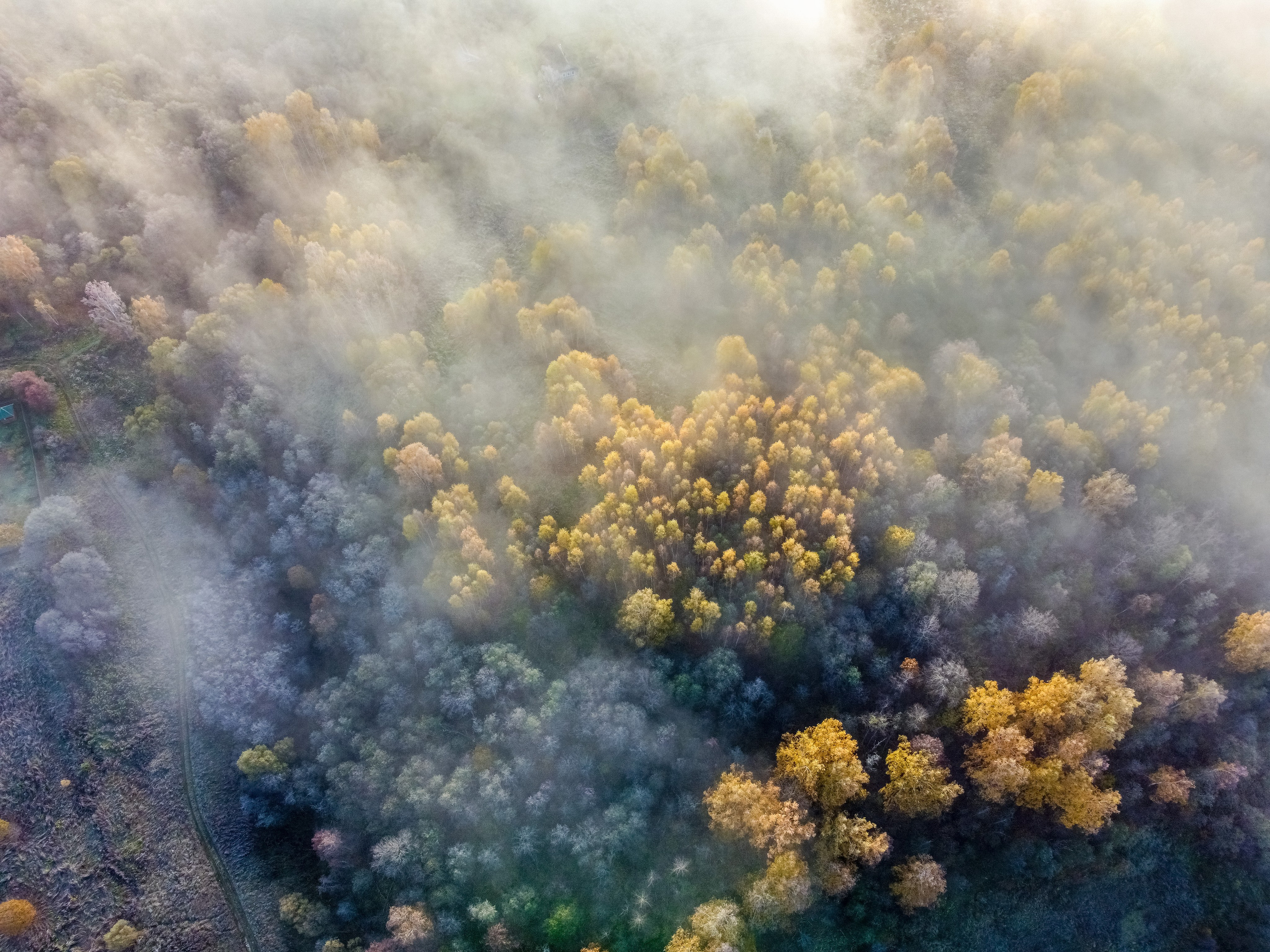 Природа Старицкого края. Осень. Сайт пейзажного фотографа Павла Крайникова