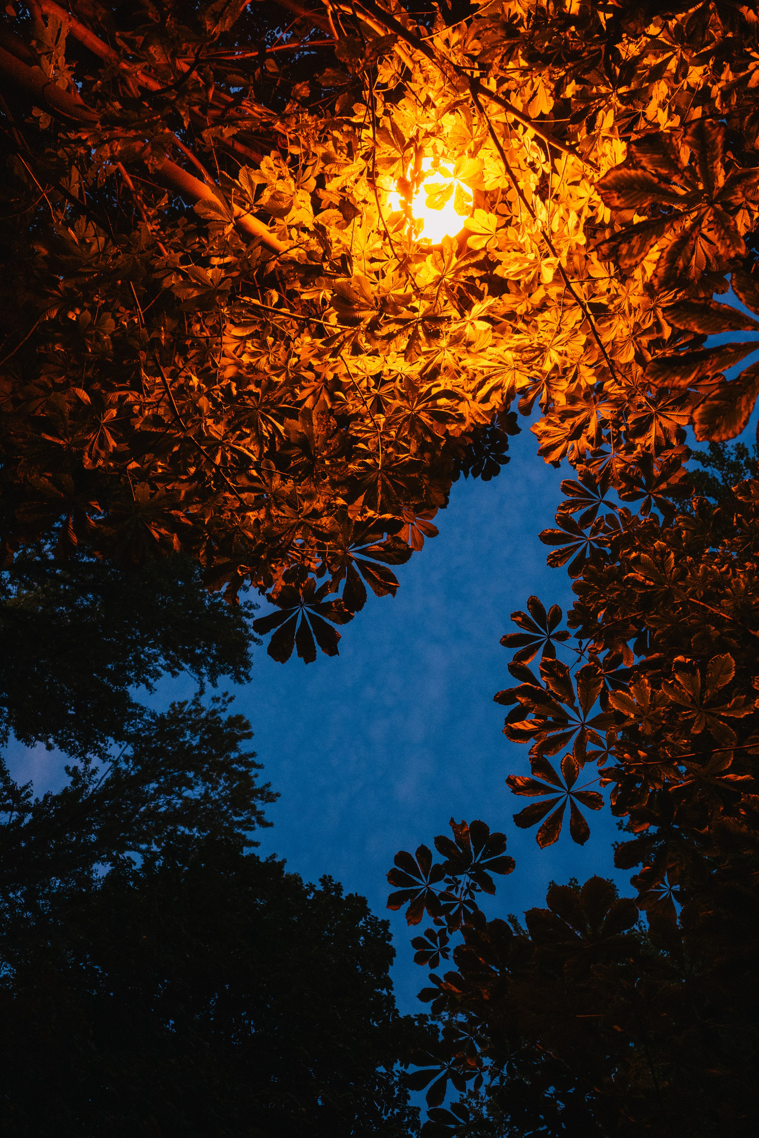 Репортаж. Stanislav Liepa Photography