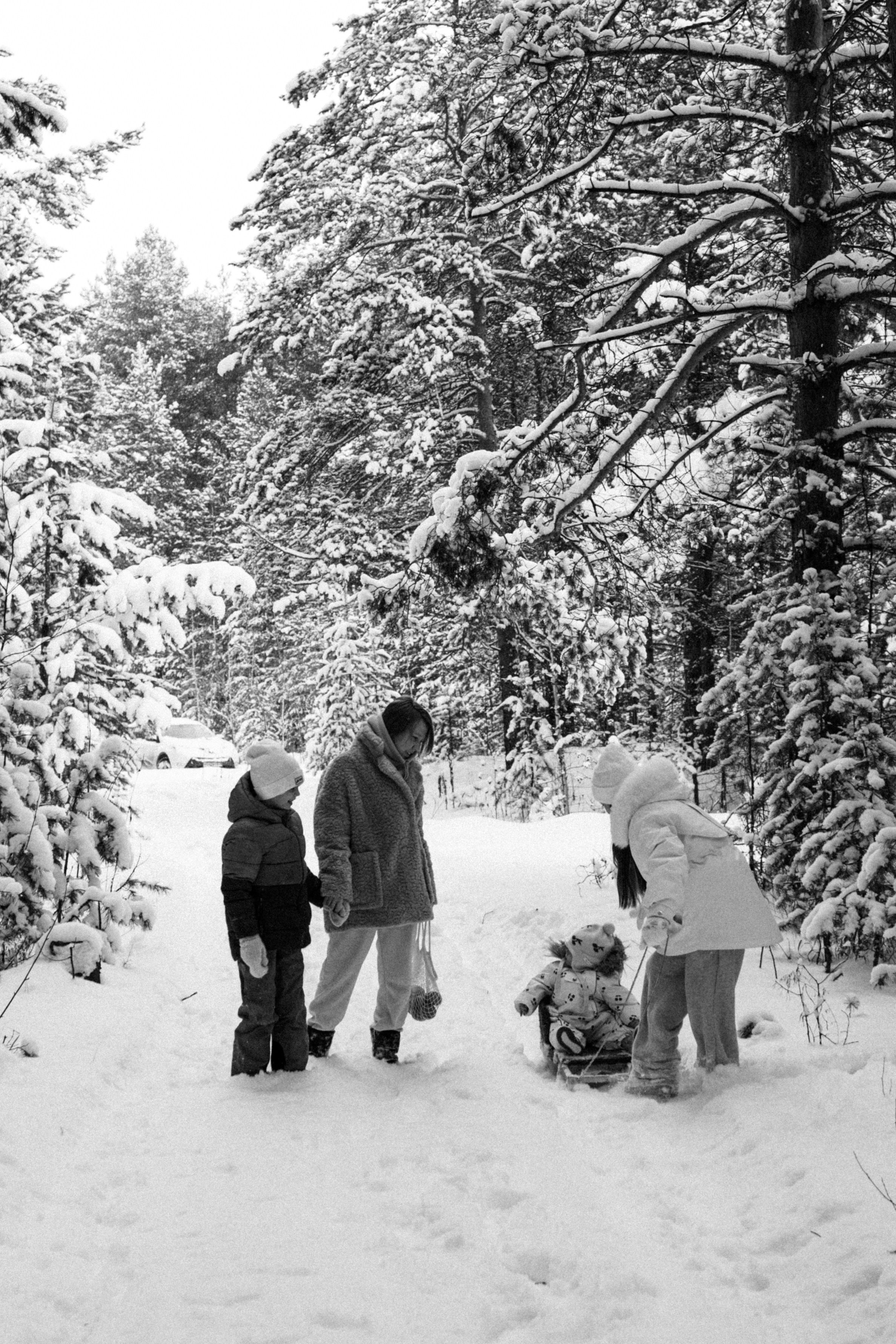 Семья Куркиных | 2026