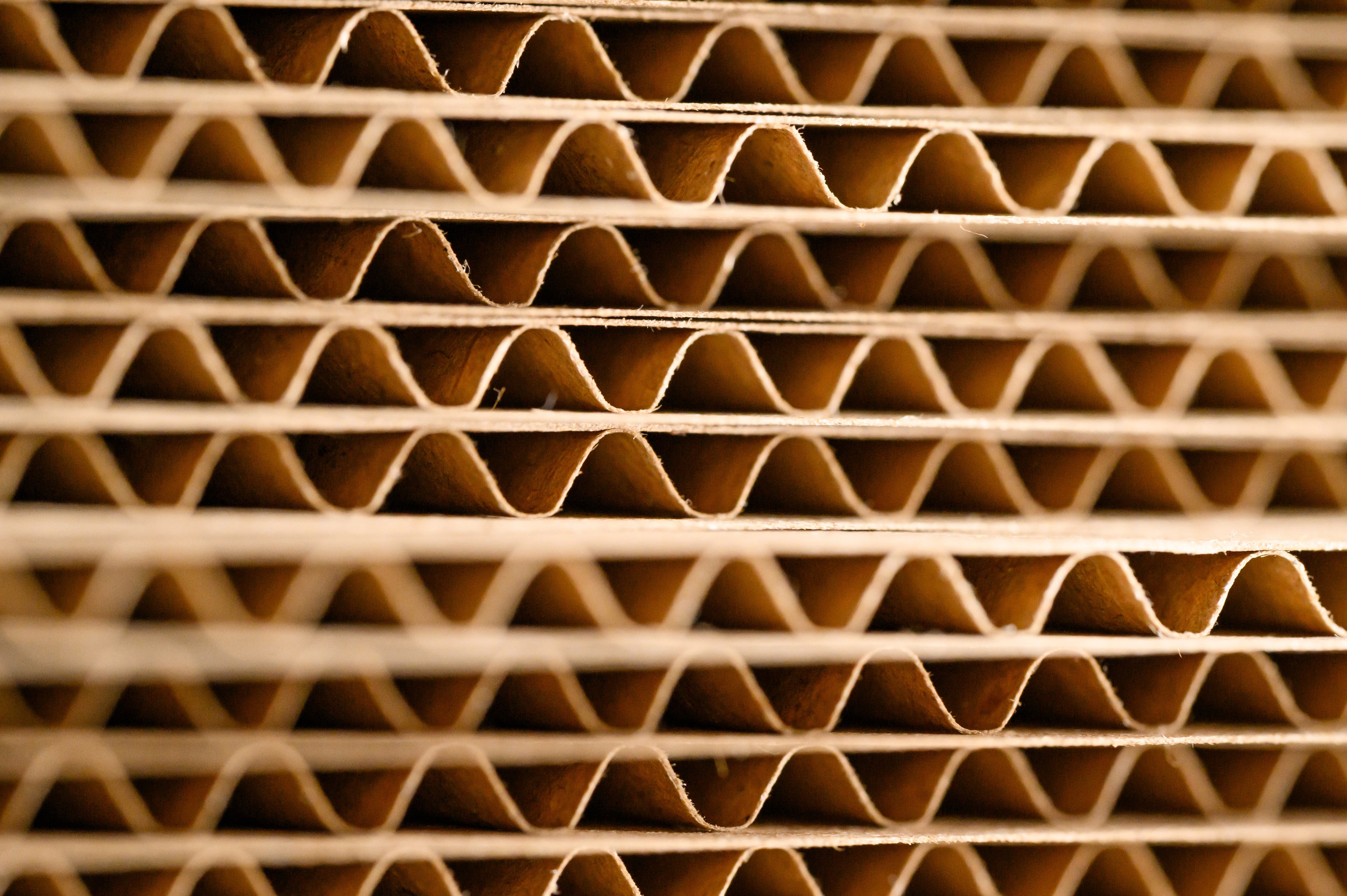 Проекты. Профессиональный фотограф Вячеслав Плацында | Липецк |