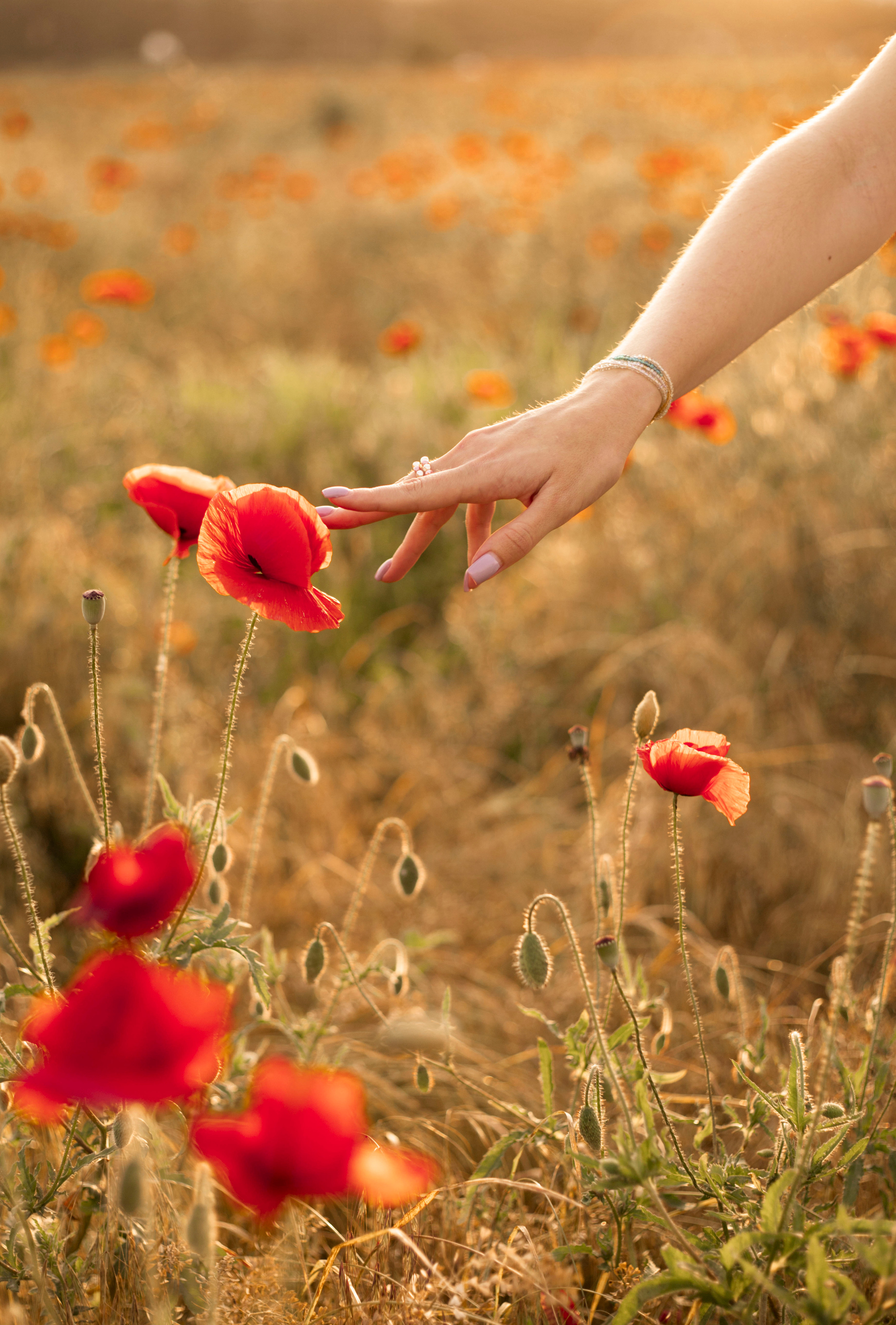 Портреты. Главная