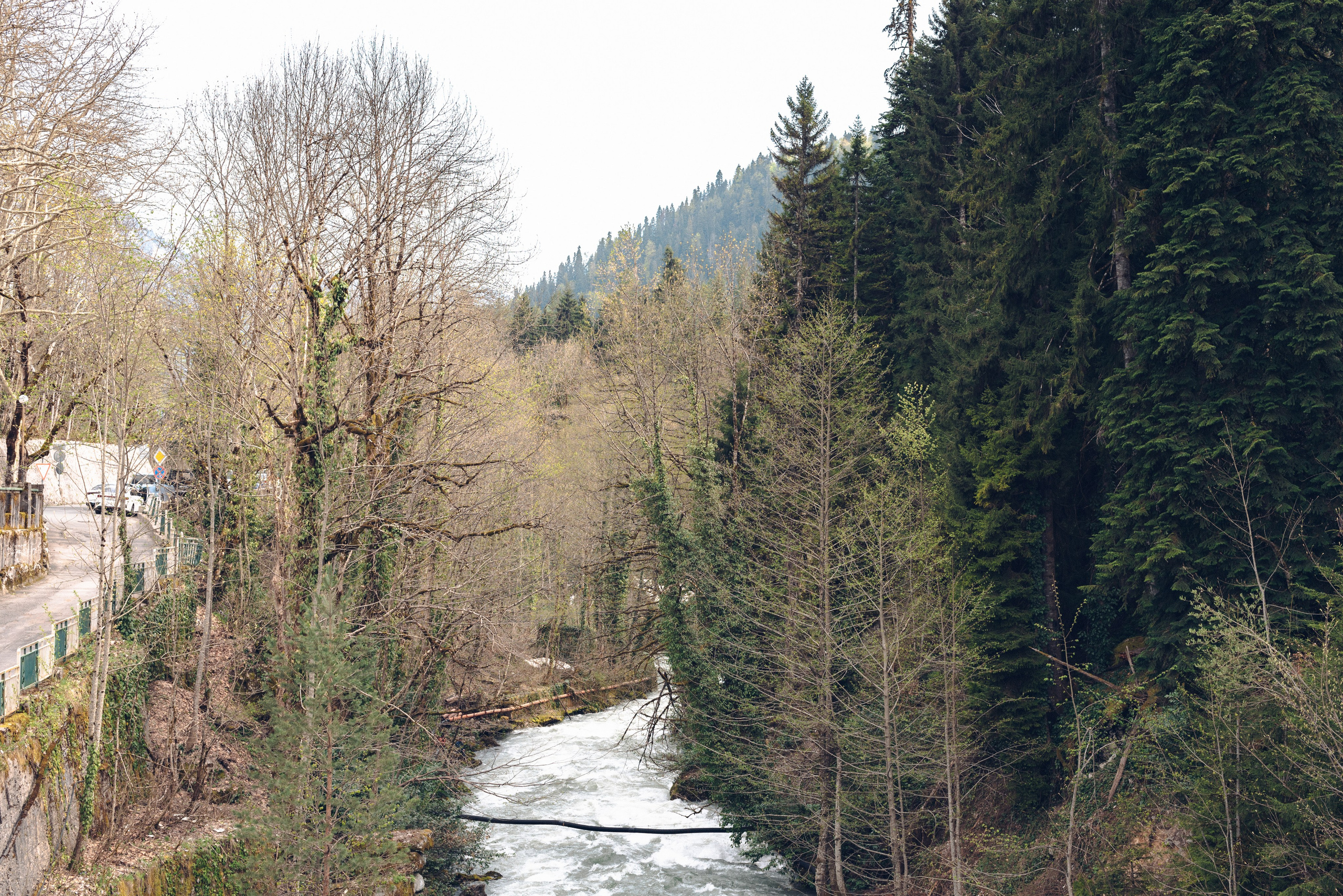 Абхазия в объективе: путешествие рекламного фотографа из Гуанчжоу. Коммерческий и предметный фотограф в Гуанчжоу Коваленко Александр