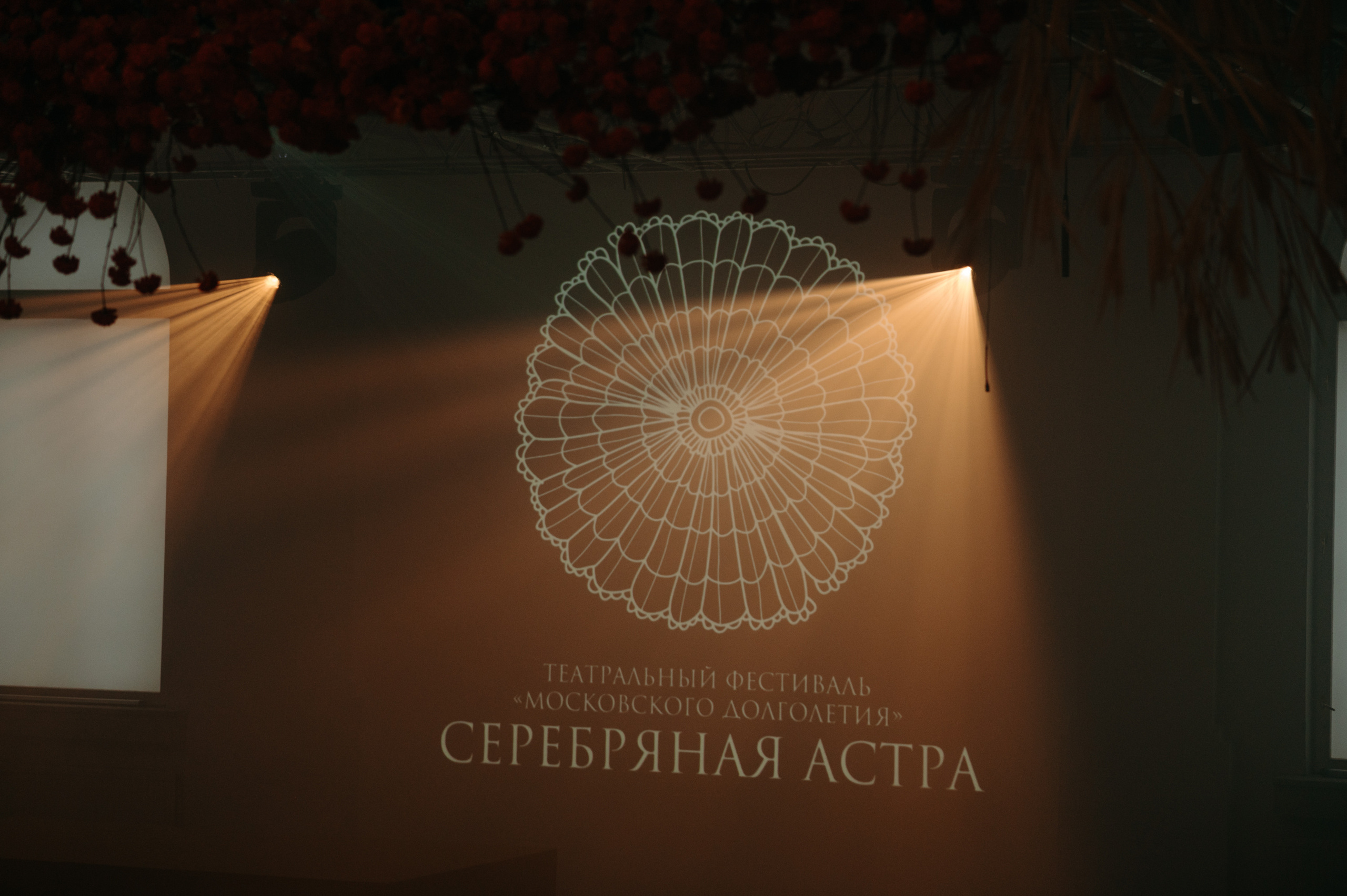 Репортаж «Серебряная астра». Фотограф в Москве Илья Максимов