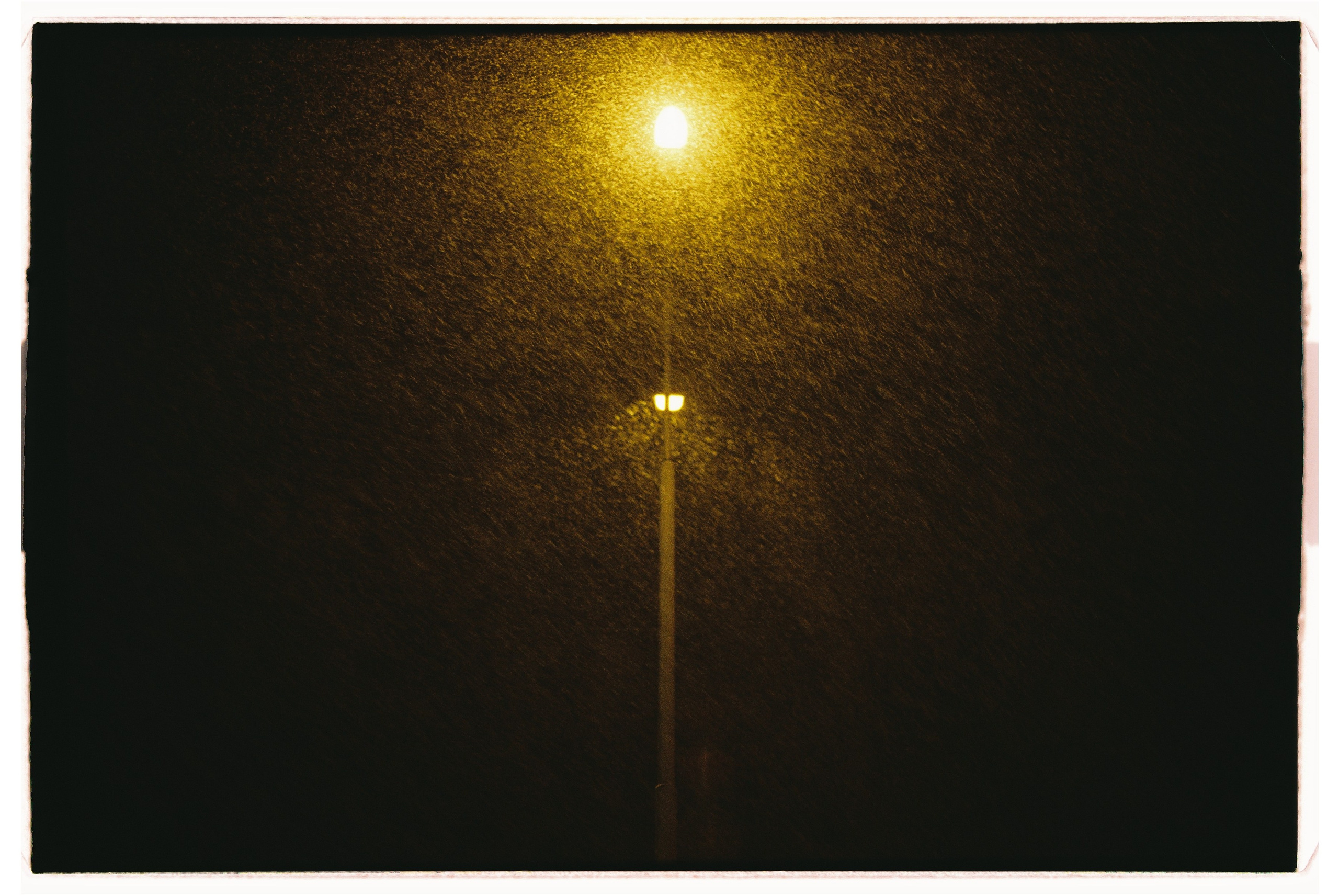 Пленка. Семейный свадебный фотограф Семен Егоров