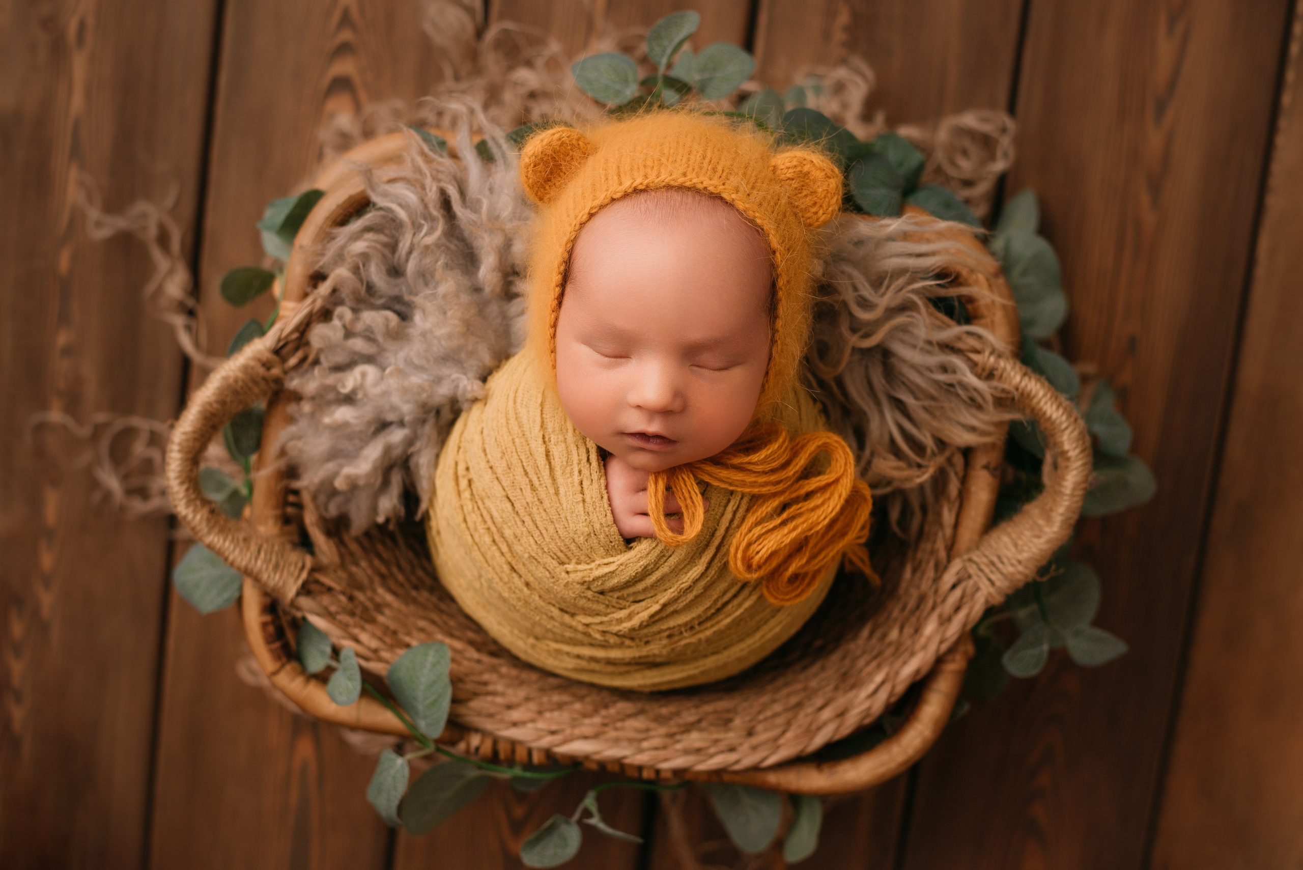 Лев. Фотограф новорожденных Белгород