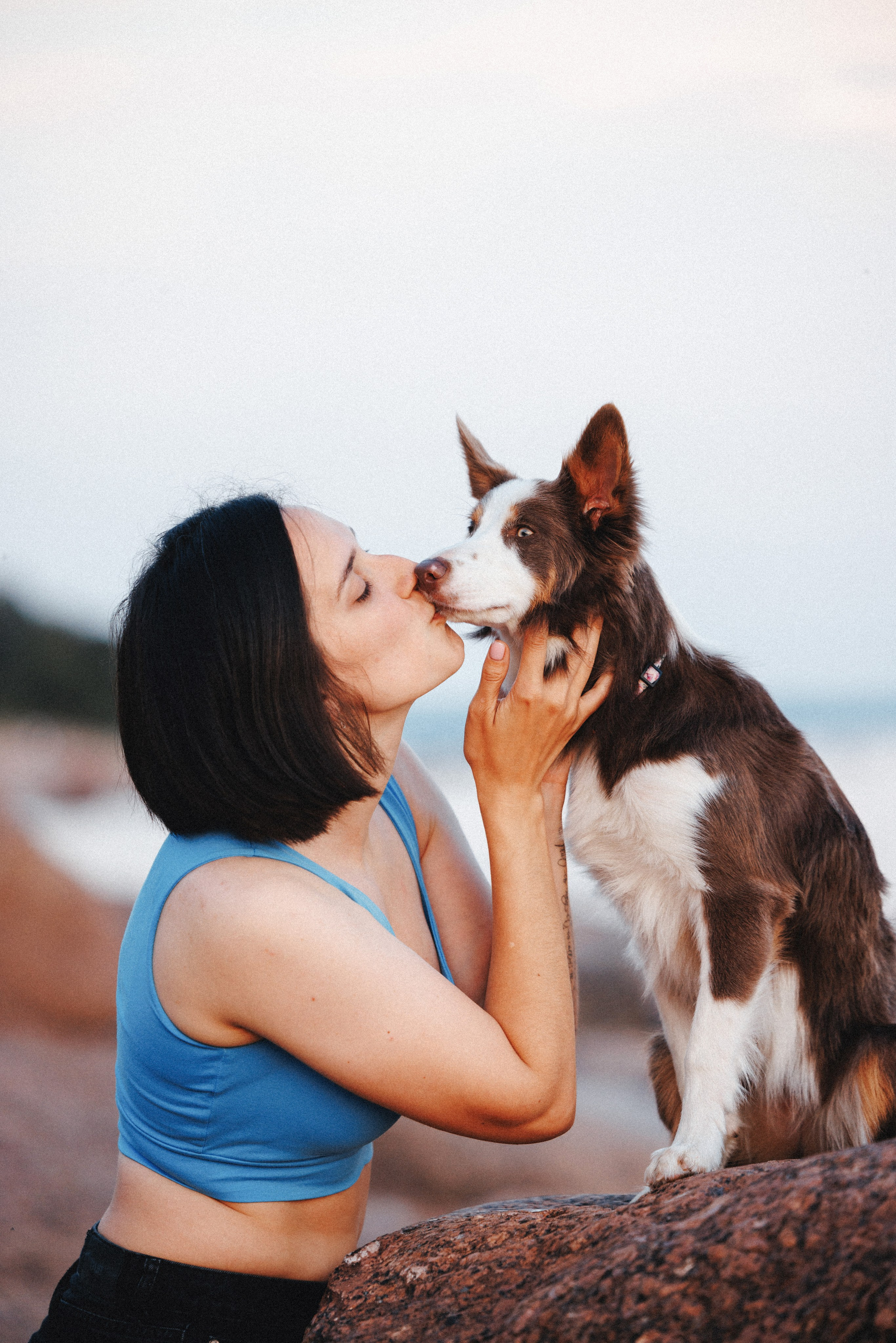 Рита, Маша и много собак. Фотограф анималист Осипчикова Мария