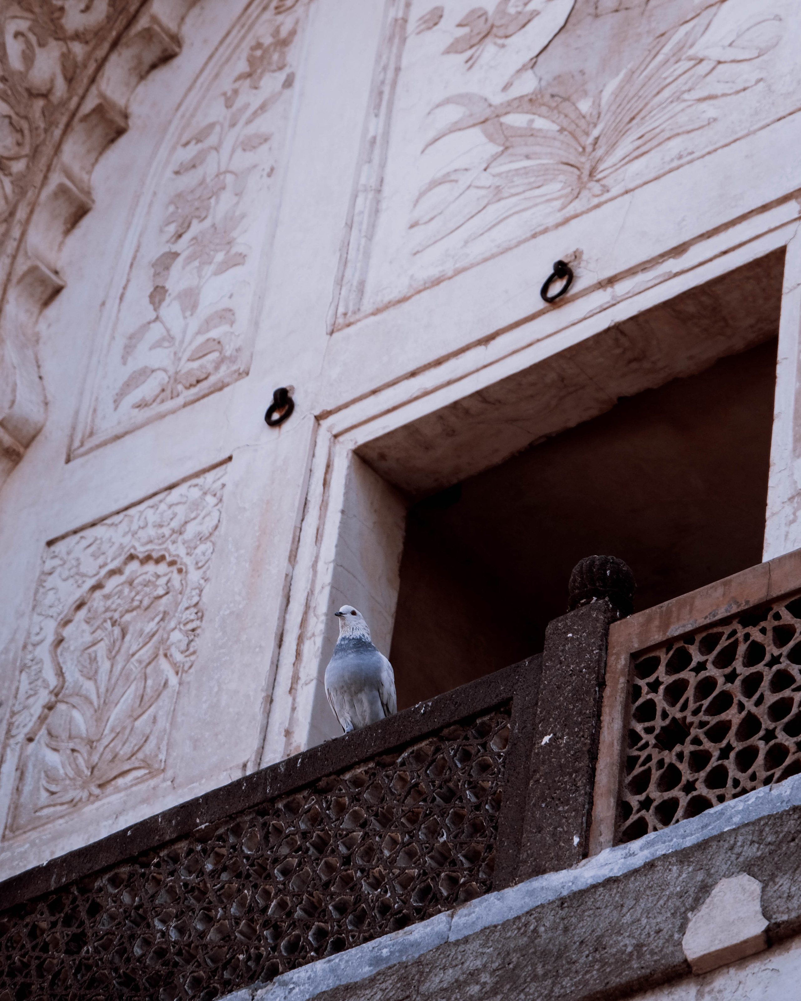 INDIA. Фотограф Дмитрий Олрайт | Калуга, Россия