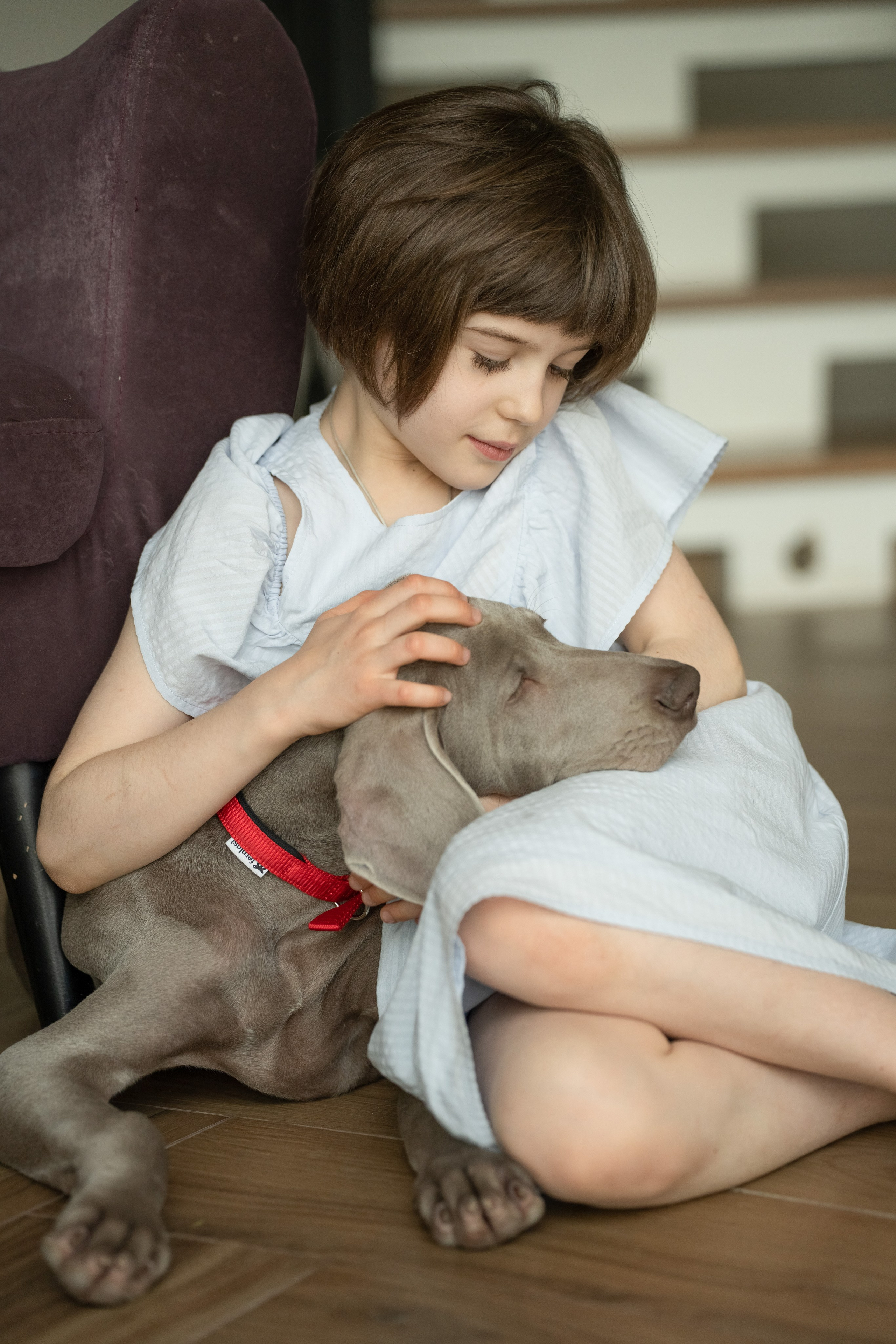 Девочка гладит любимого щенка.