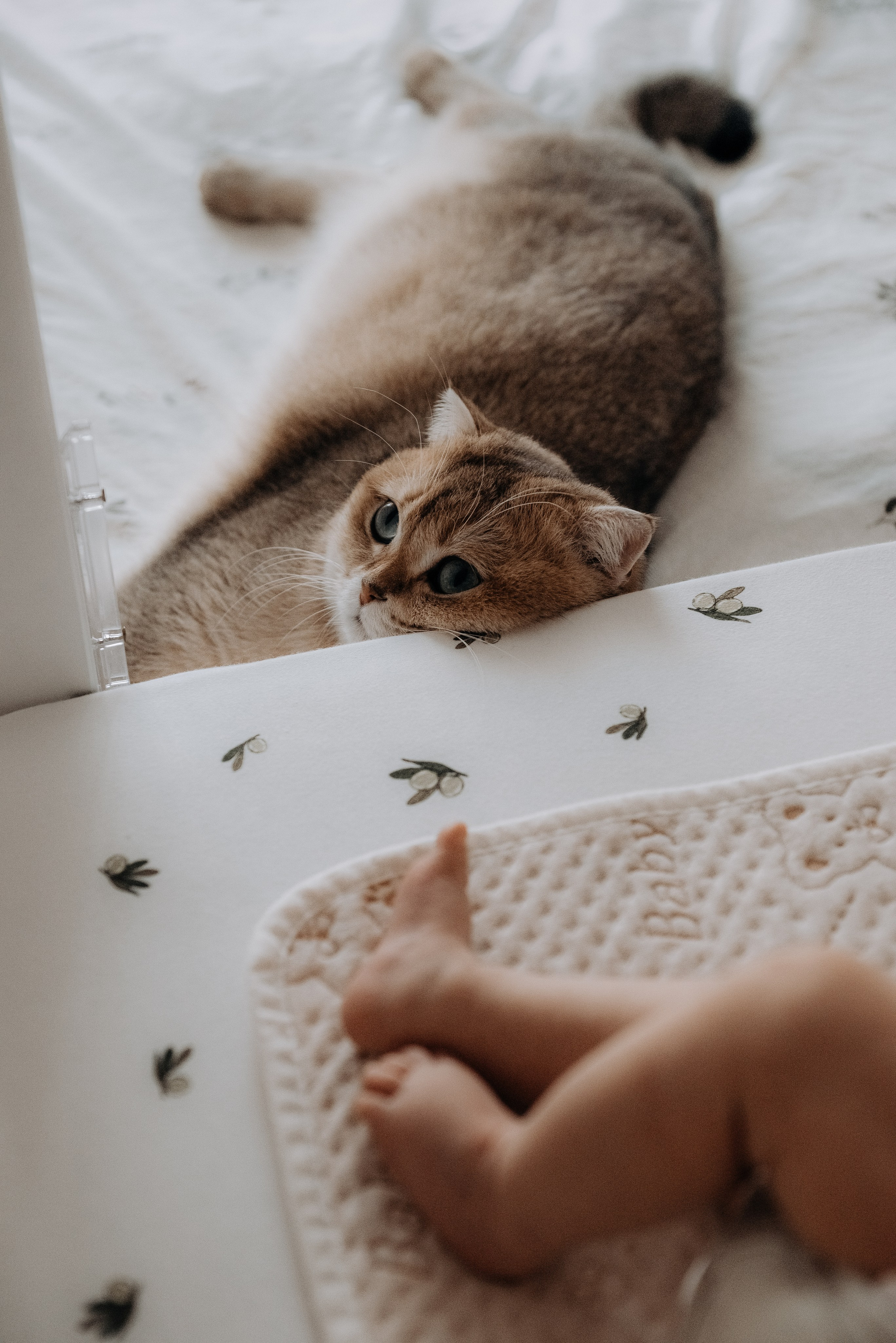 Семейные истории. Фотограф в Томске Мария Март