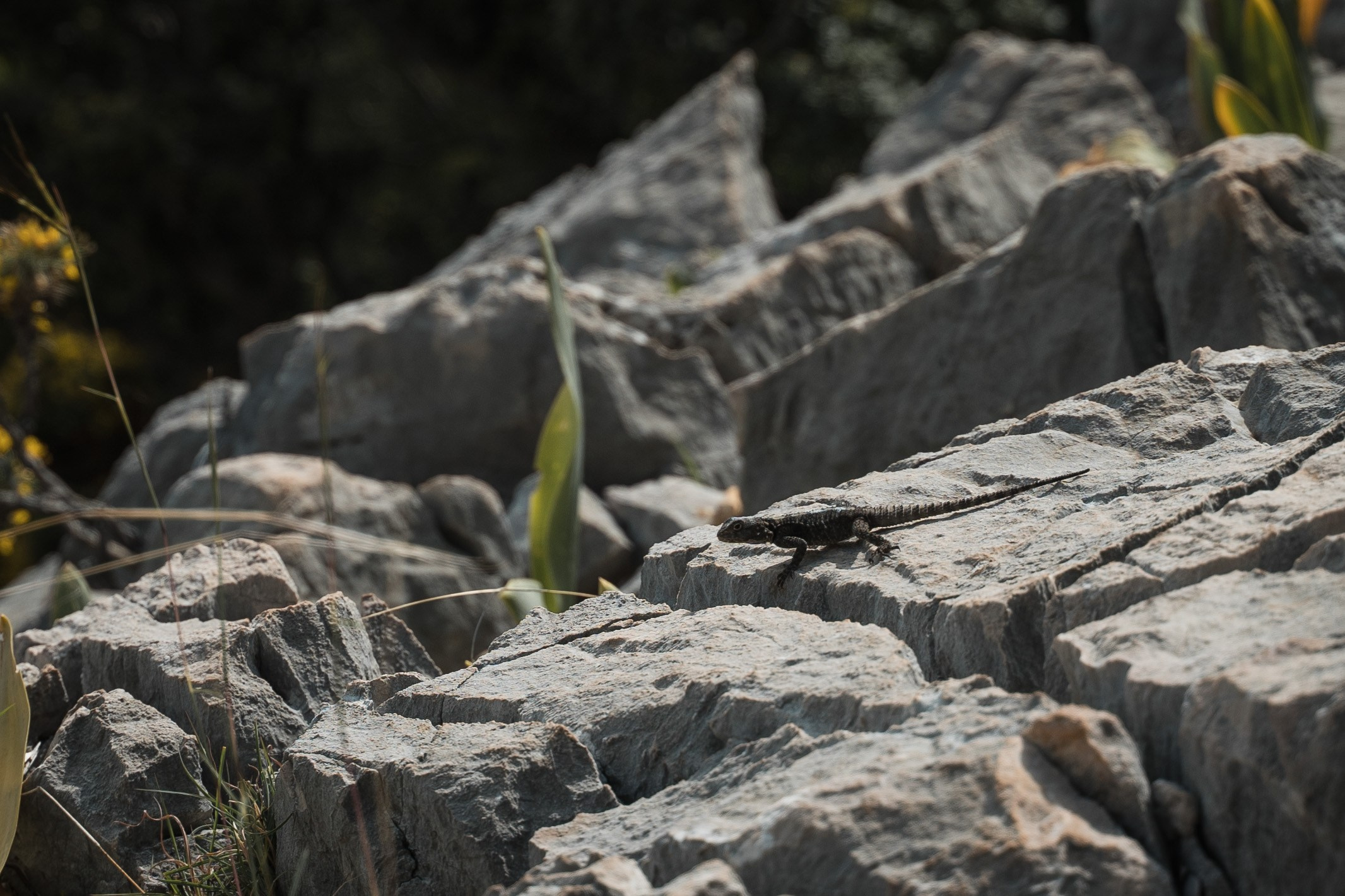 Турция. Западная Ликийская тропа. Фотограф в поход и восхождение на Эльбрус Игорь Косарев