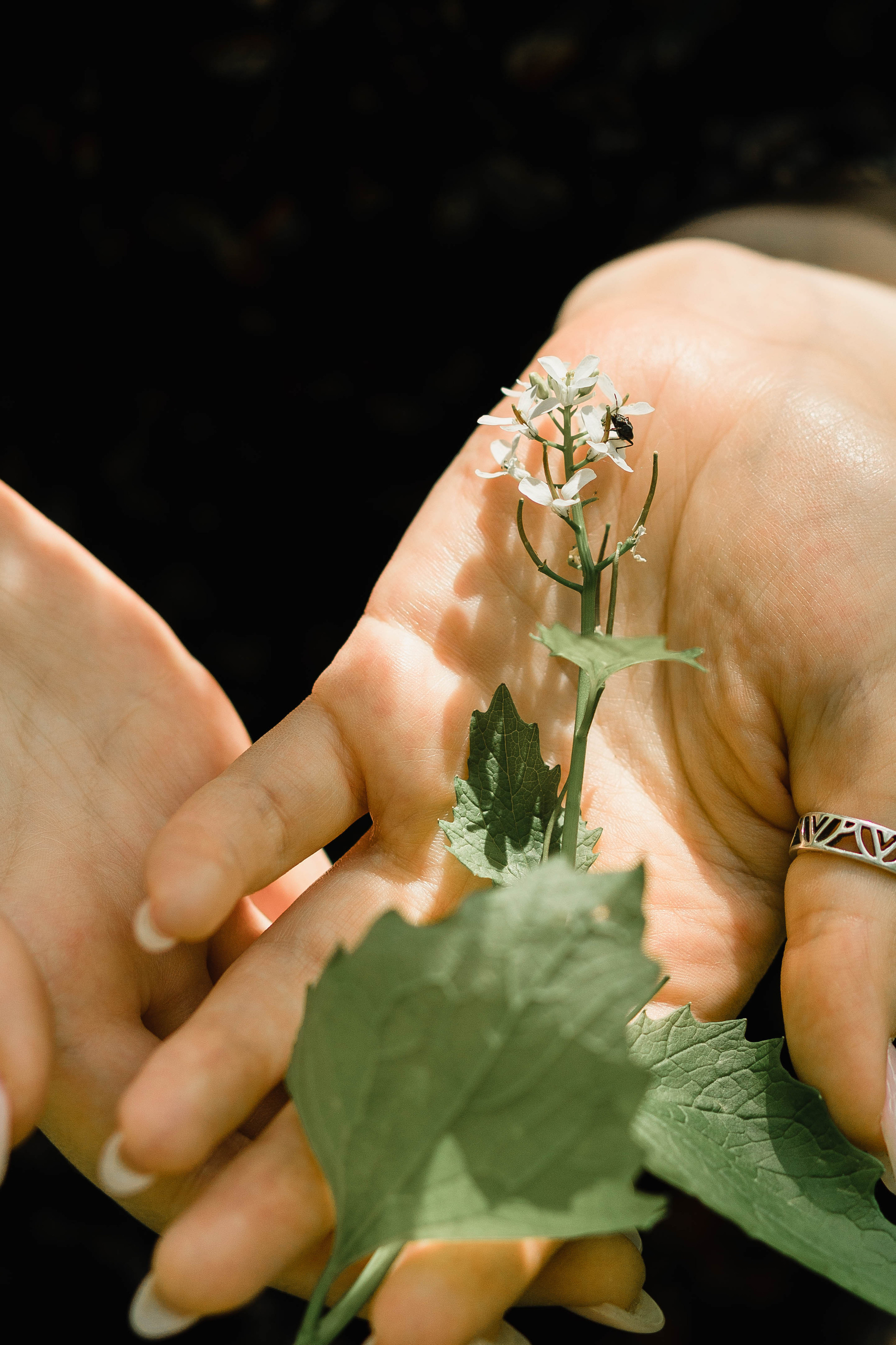 Юля. Свадебный, семейный и портретный фотограф Ксения Краснова