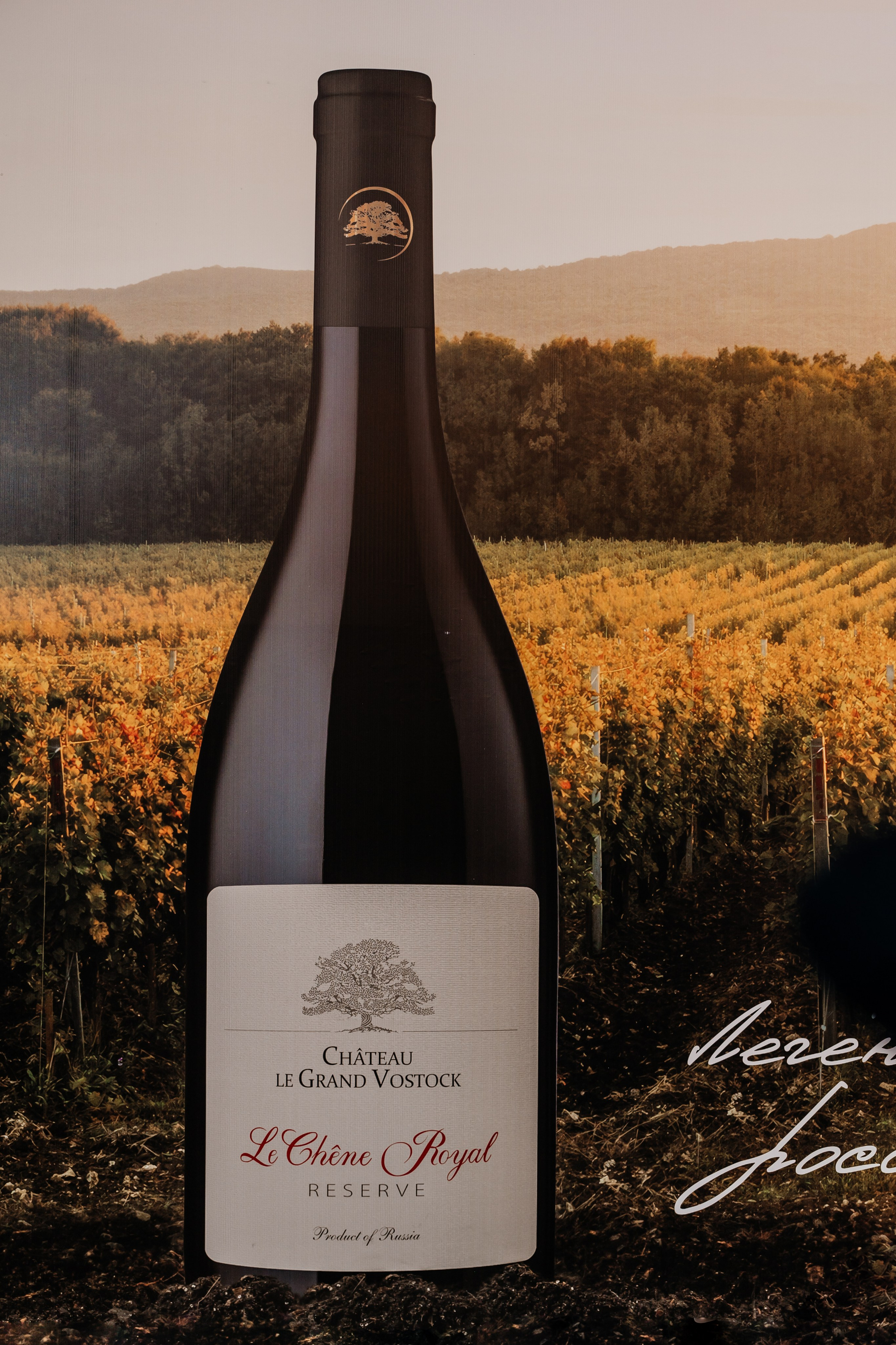 Винная церемония. Самый свадебный фотограф