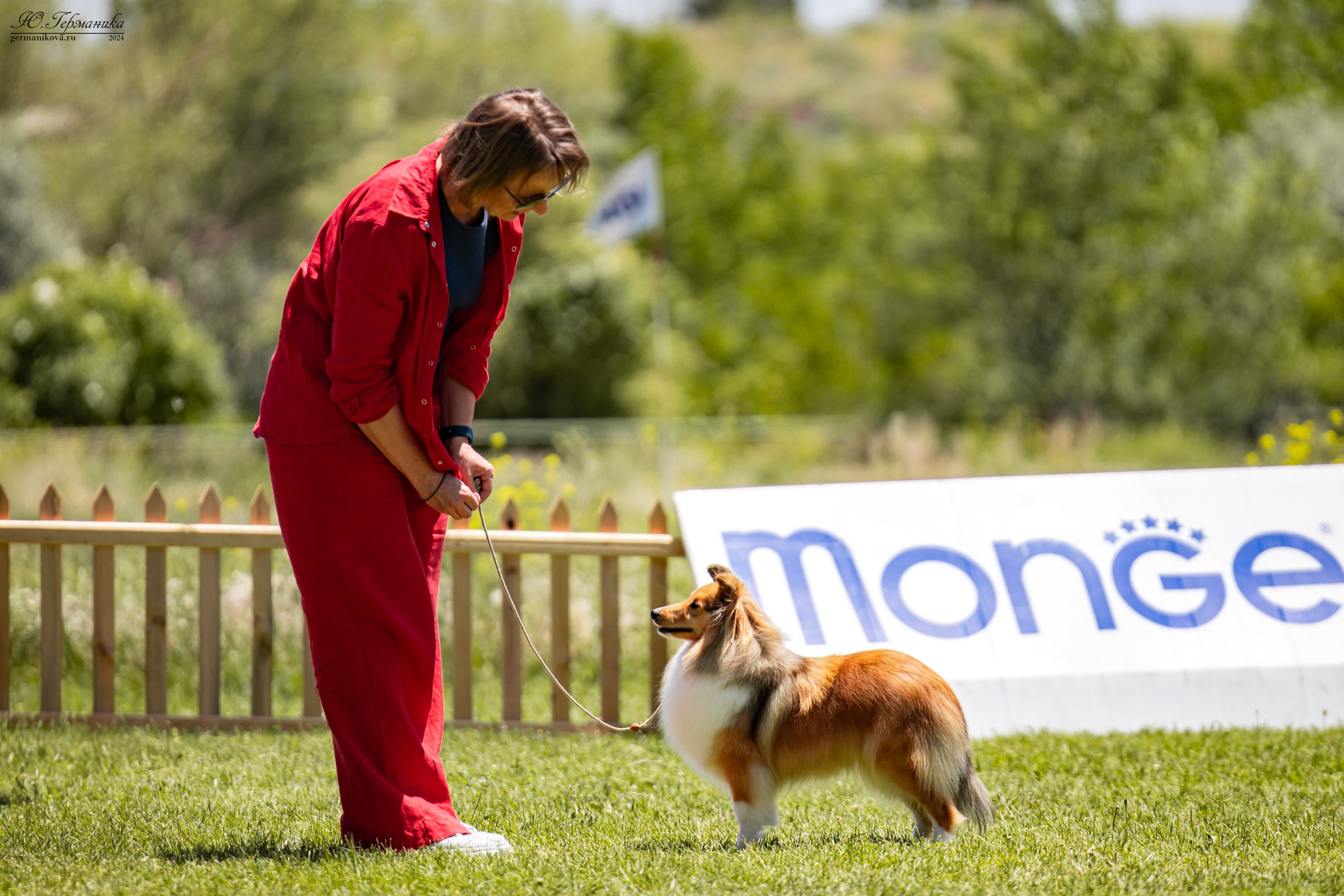 Ереван 3-5.06.2024. Фотограф-анималист Юлия Германика