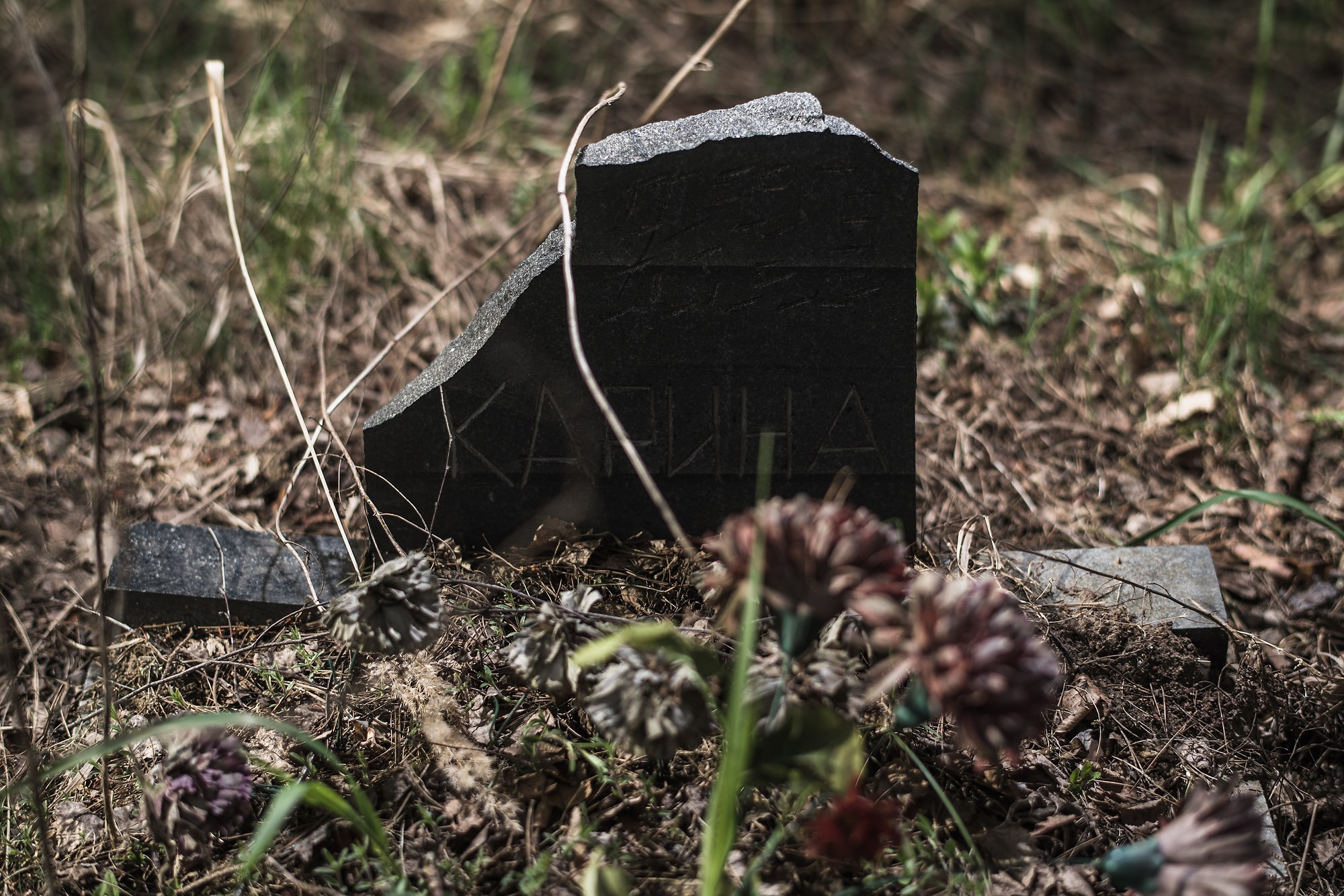 Кладбище домашних животных. Промышленная и репортажная фотография